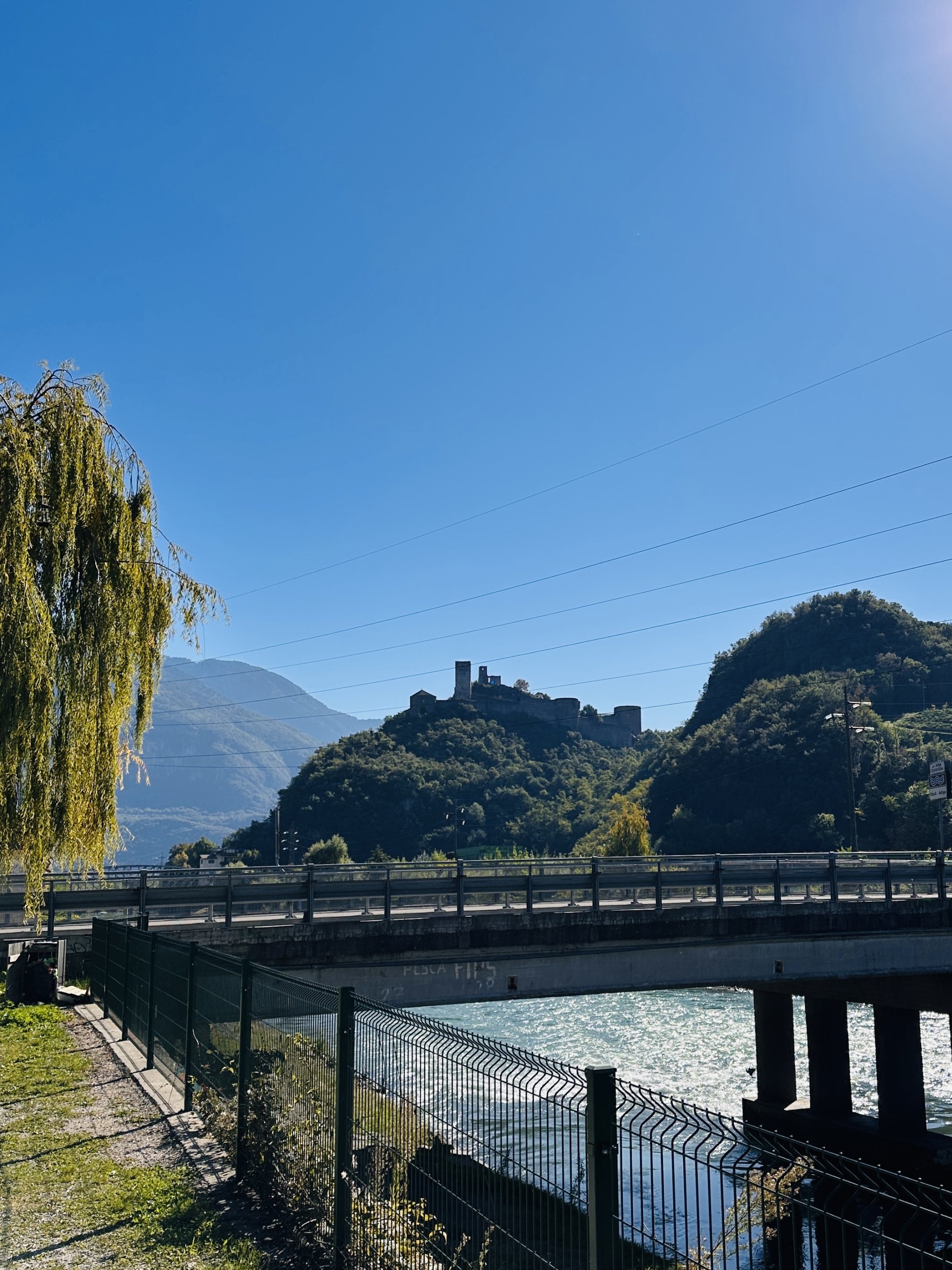 IMG_4398.jpeg