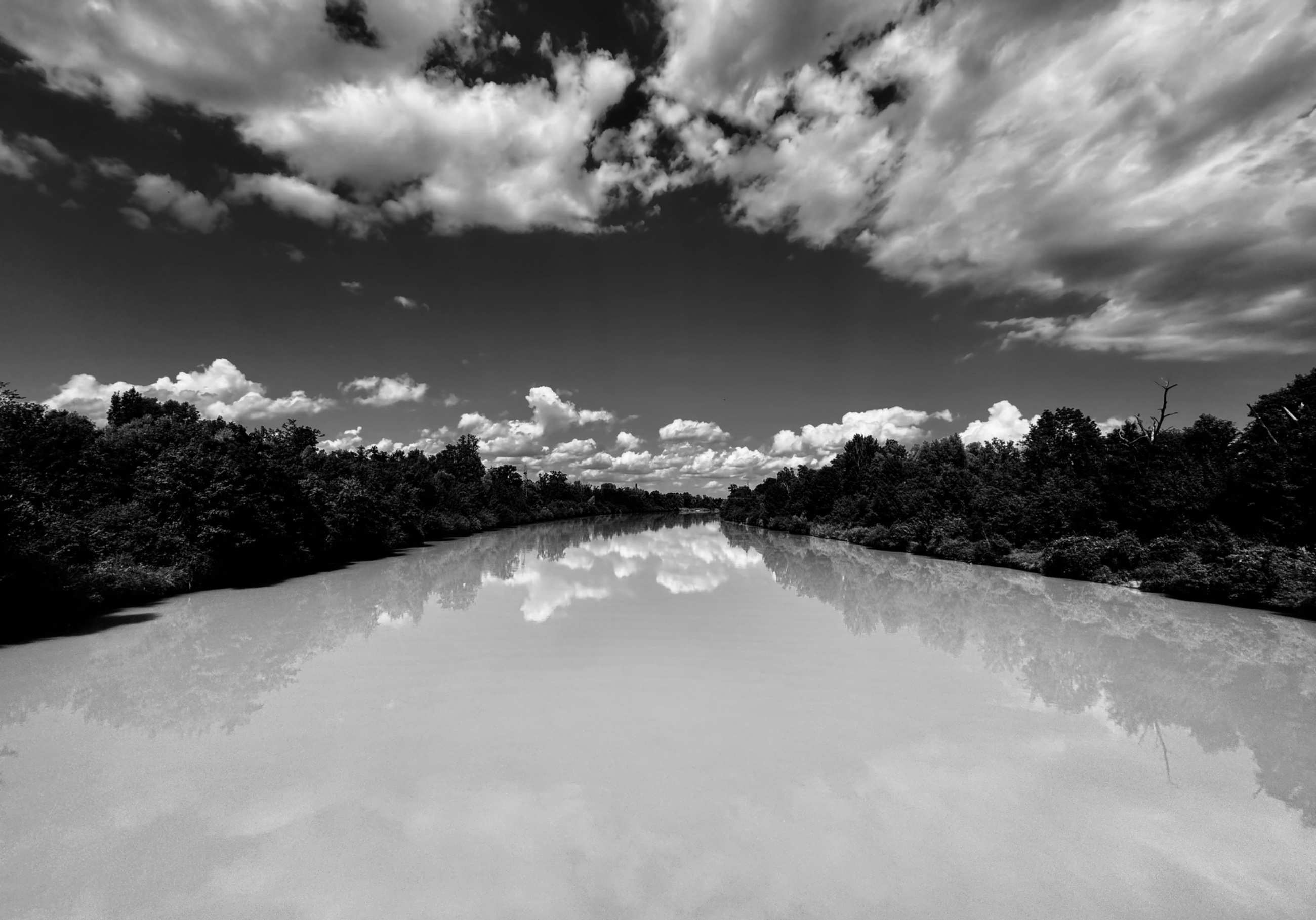 IMG_4423.jpeg