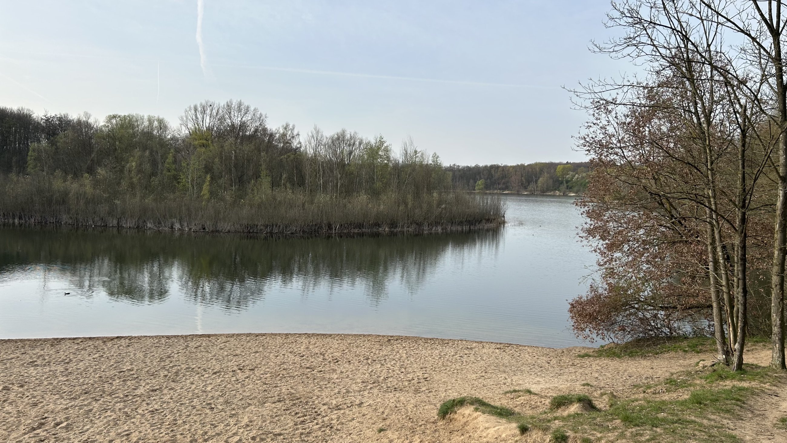 IMG_4530.jpeg