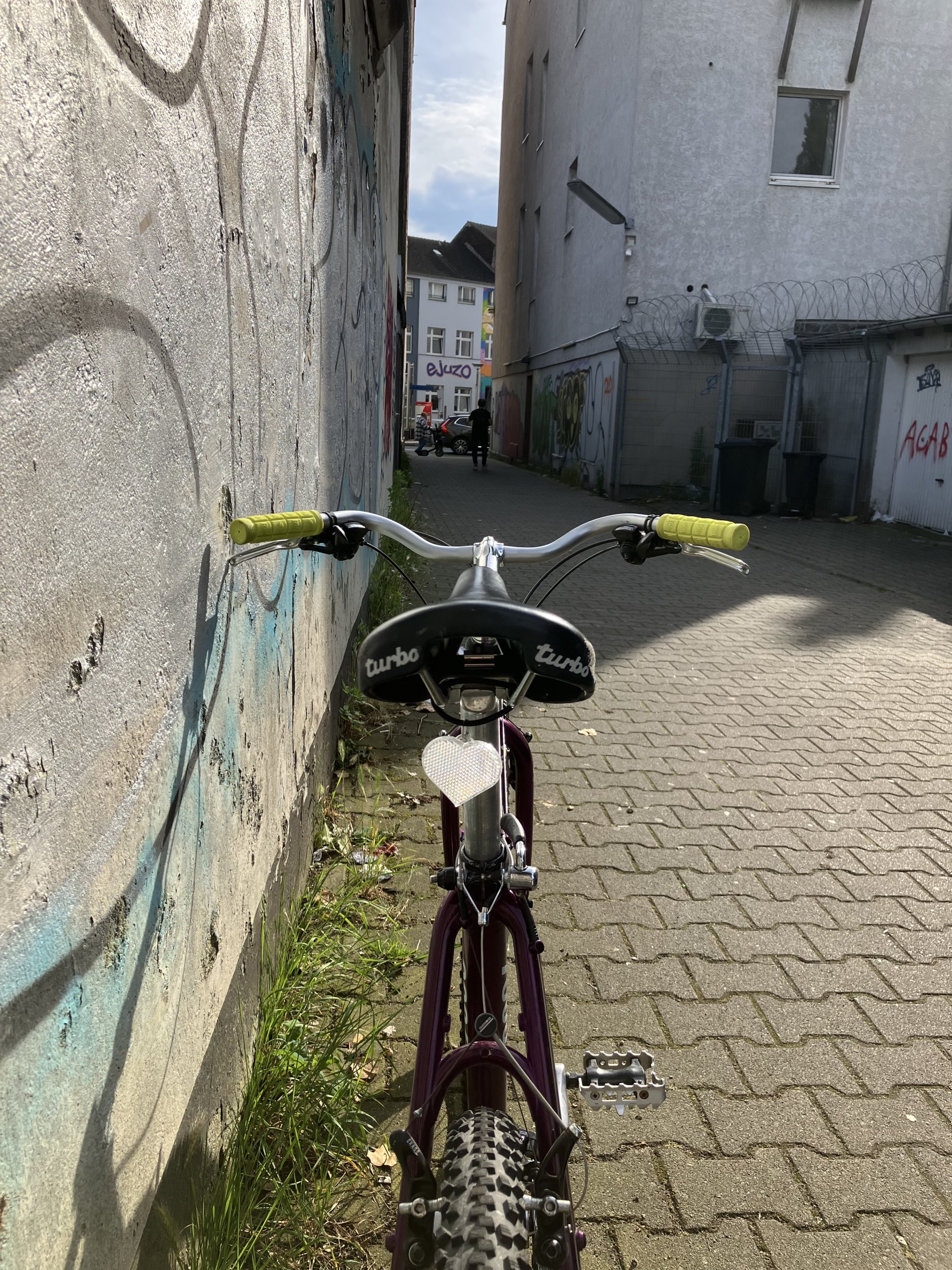 IMG_4616.jpeg