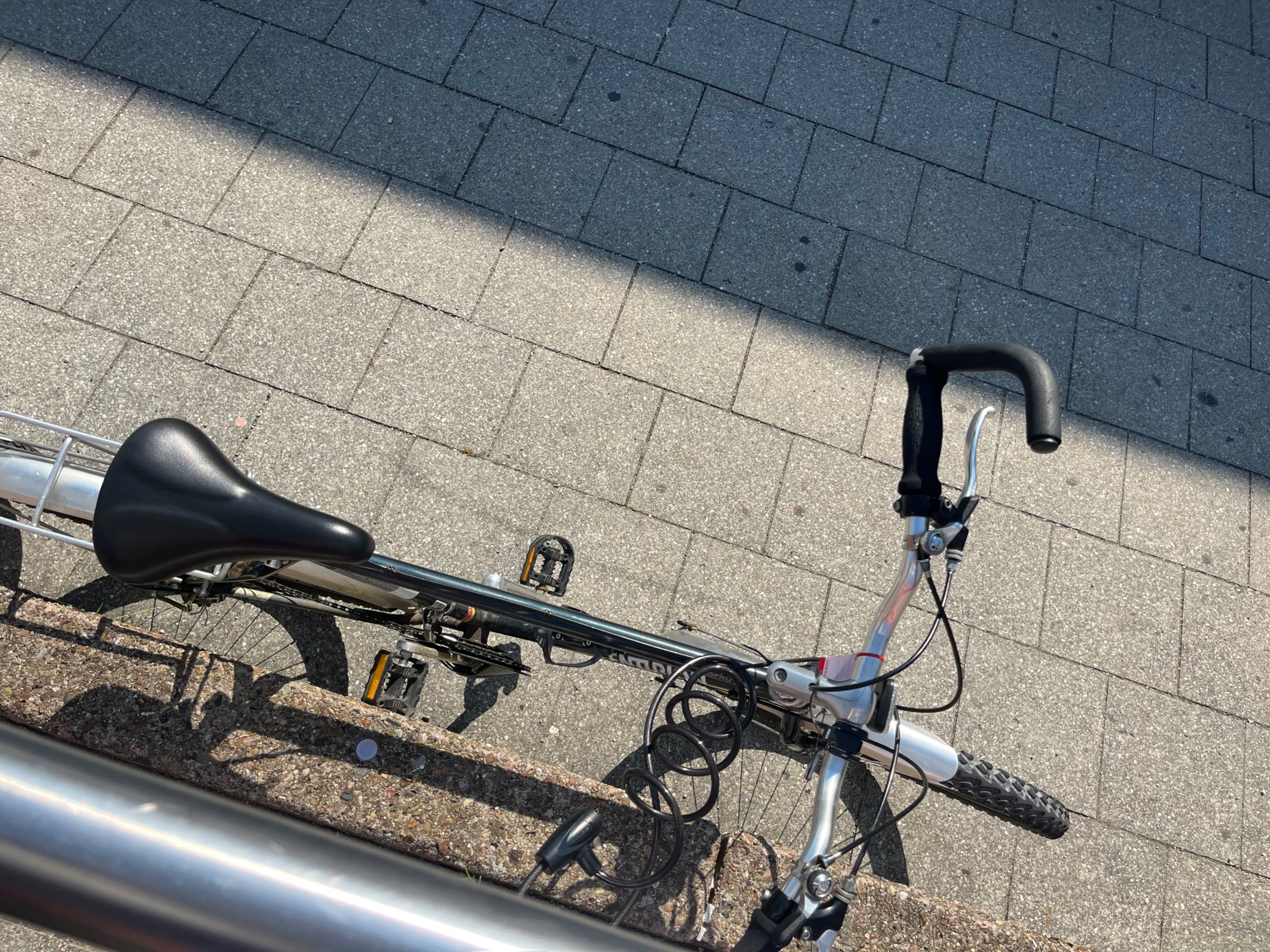 IMG_4634.jpeg