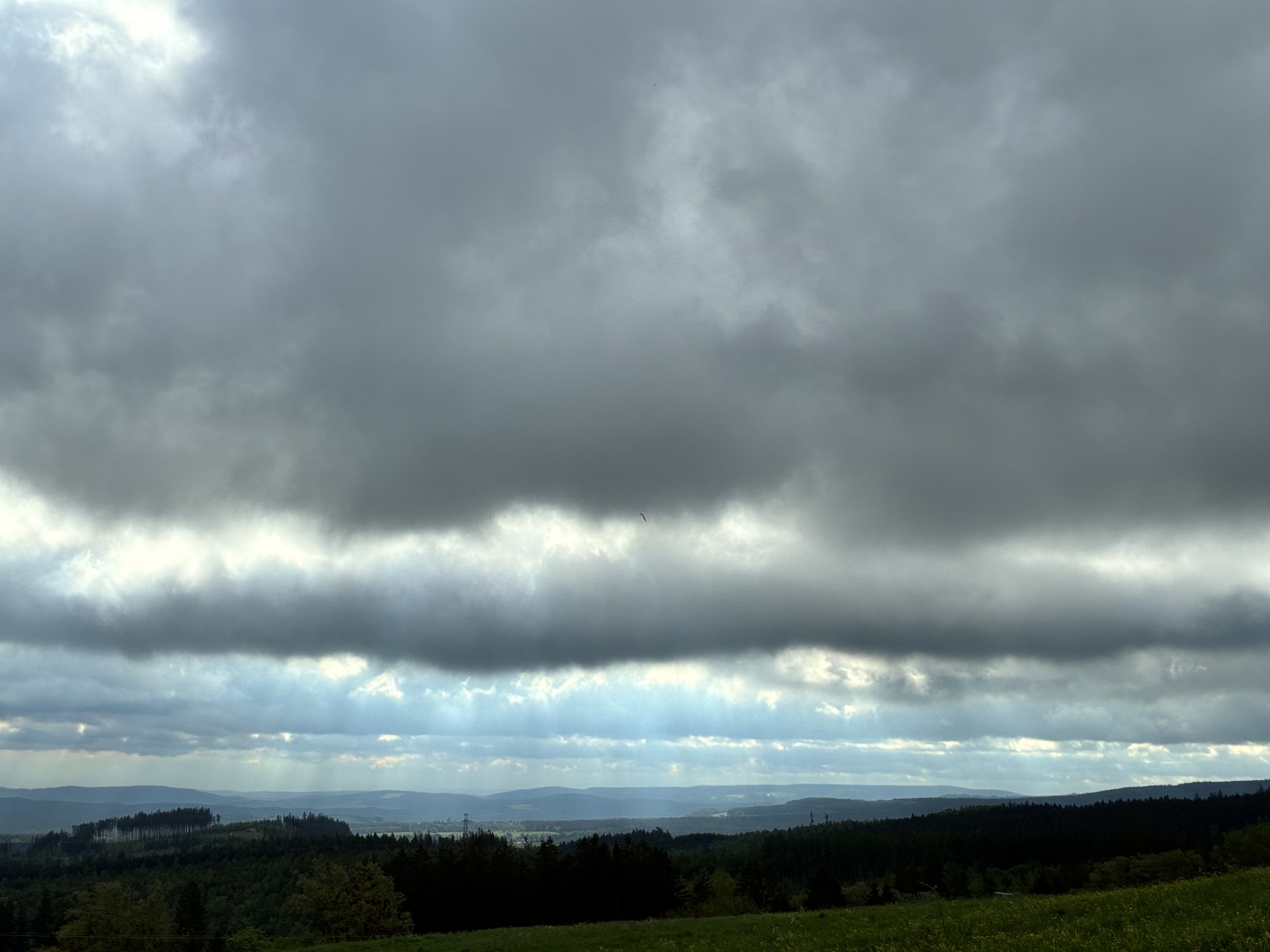 IMG_4725.jpeg