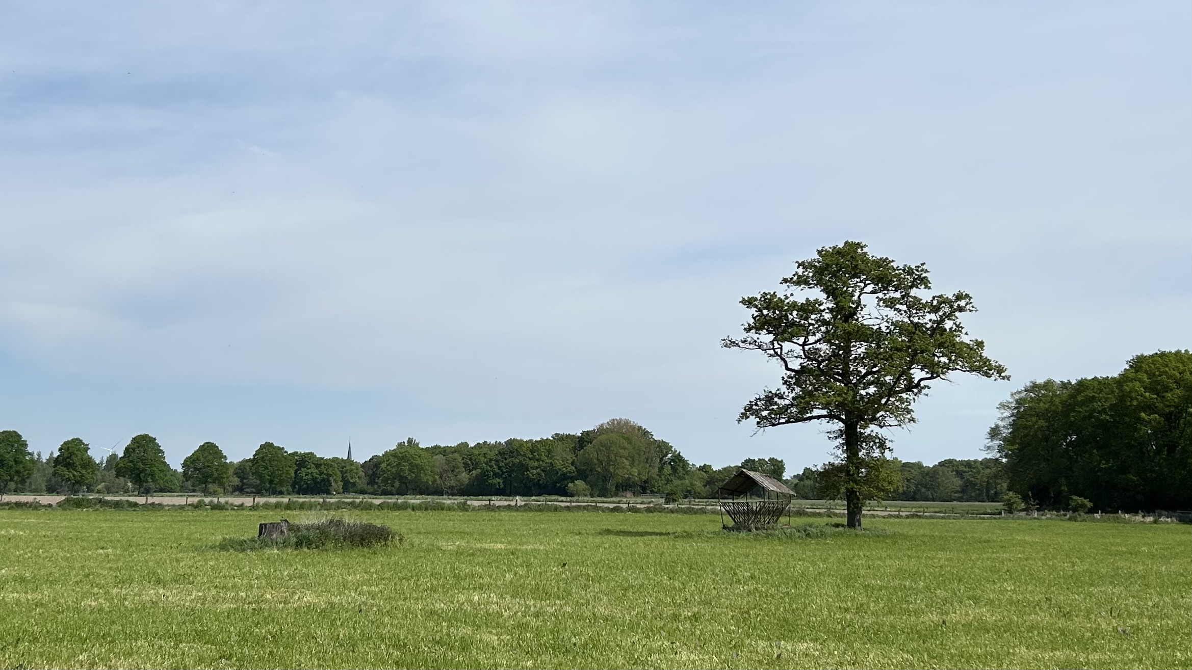 IMG_4757.jpeg