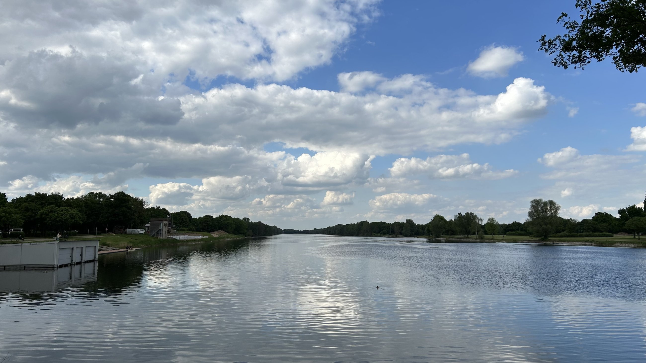 IMG_4786.jpeg