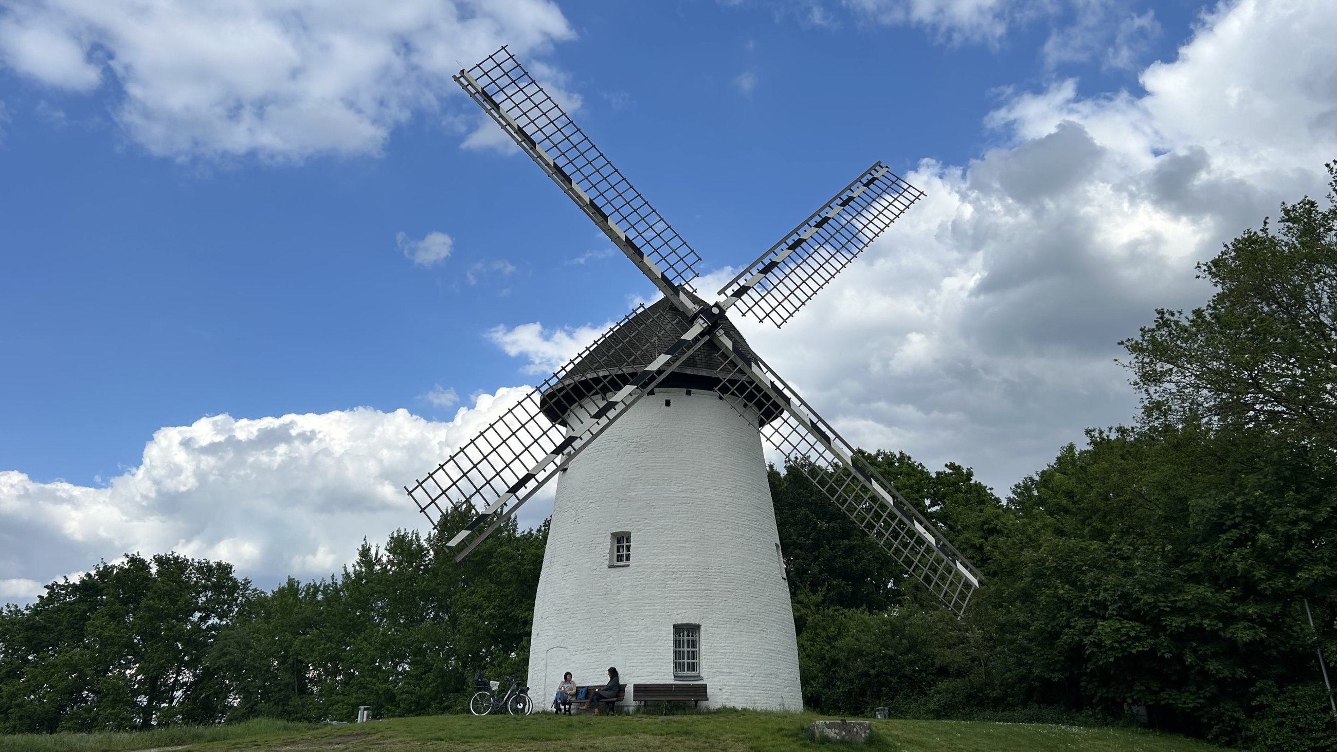 IMG_4787.jpeg