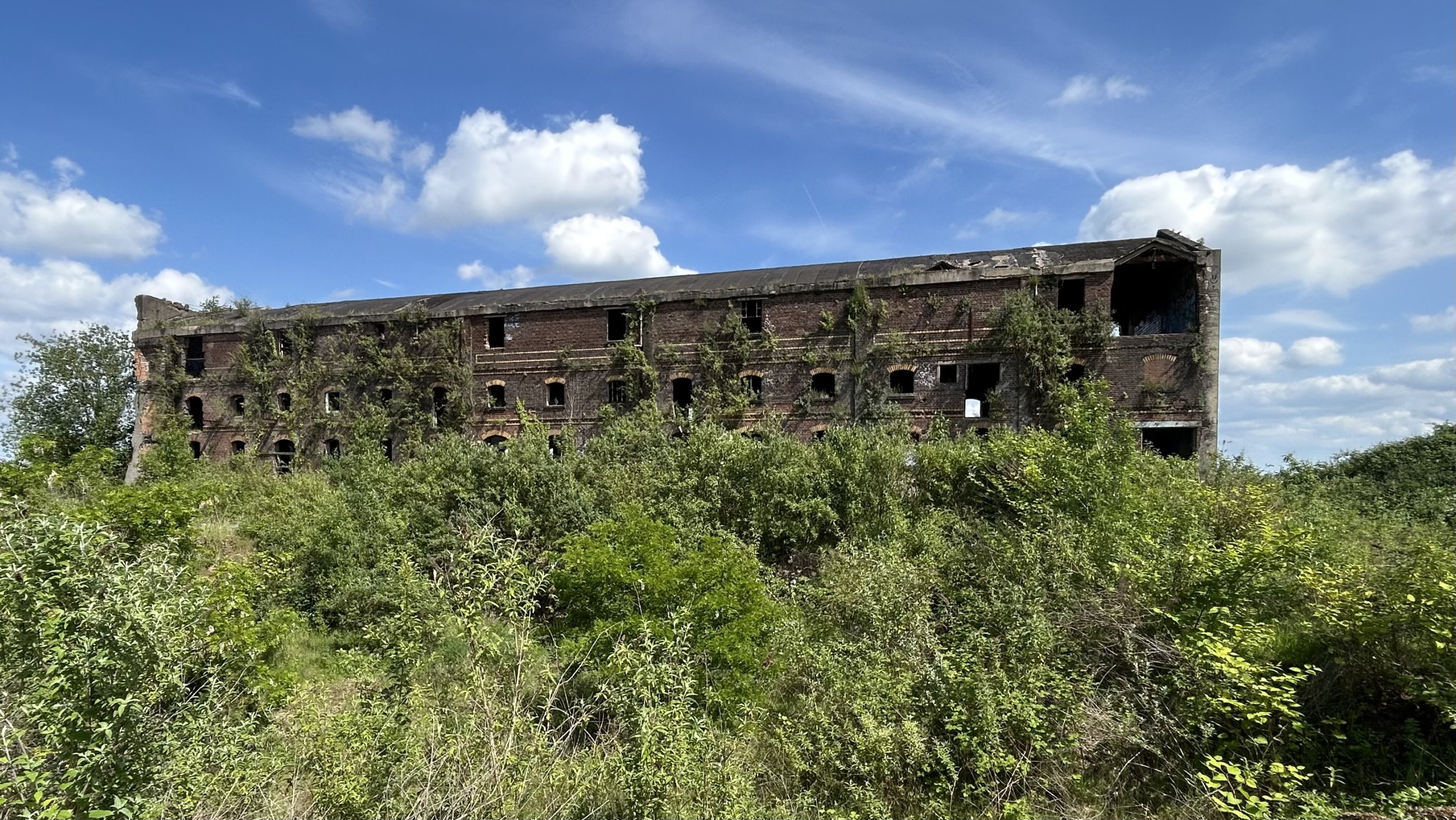 IMG_4853.jpeg