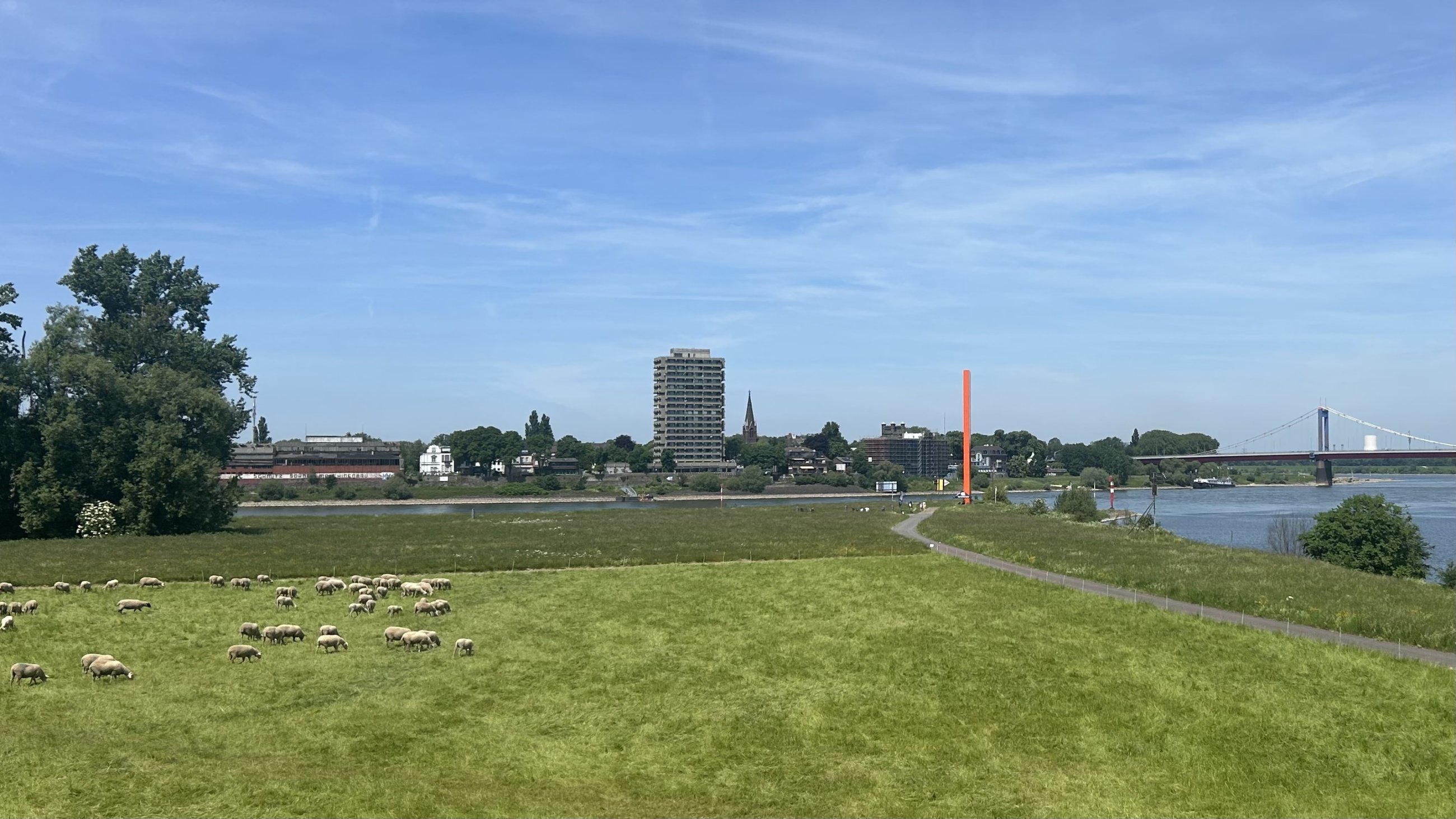 IMG_4903.jpeg