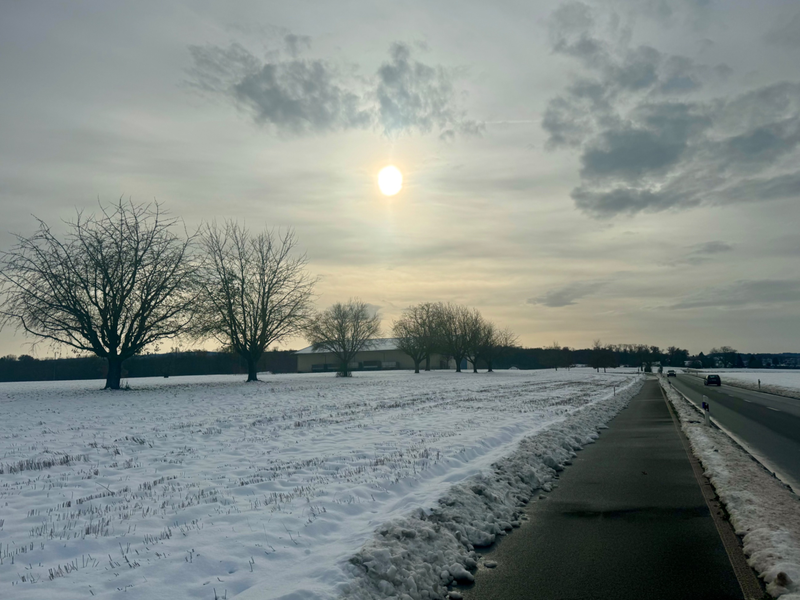 IMG_4908.jpeg