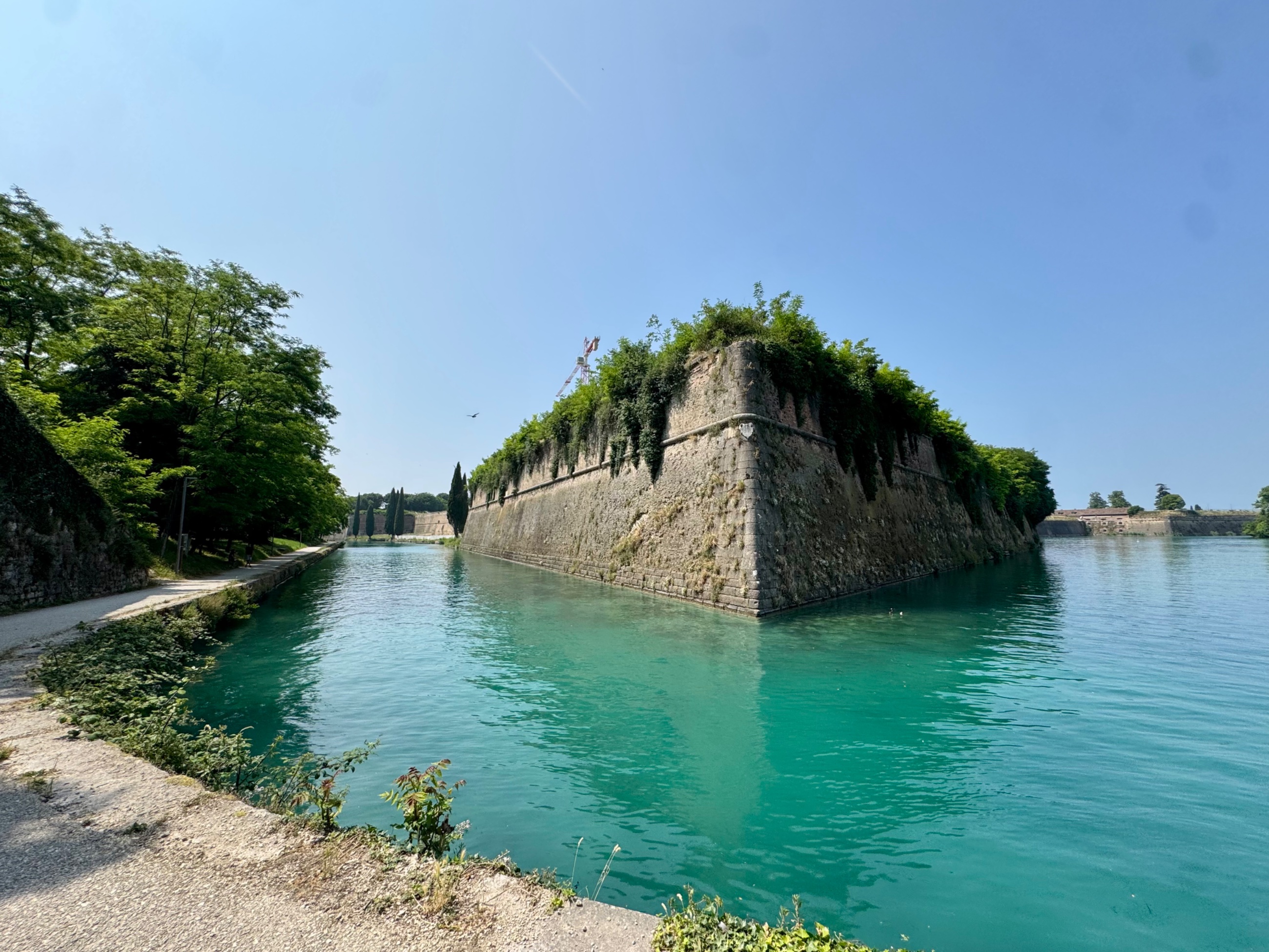 IMG_4928.jpeg