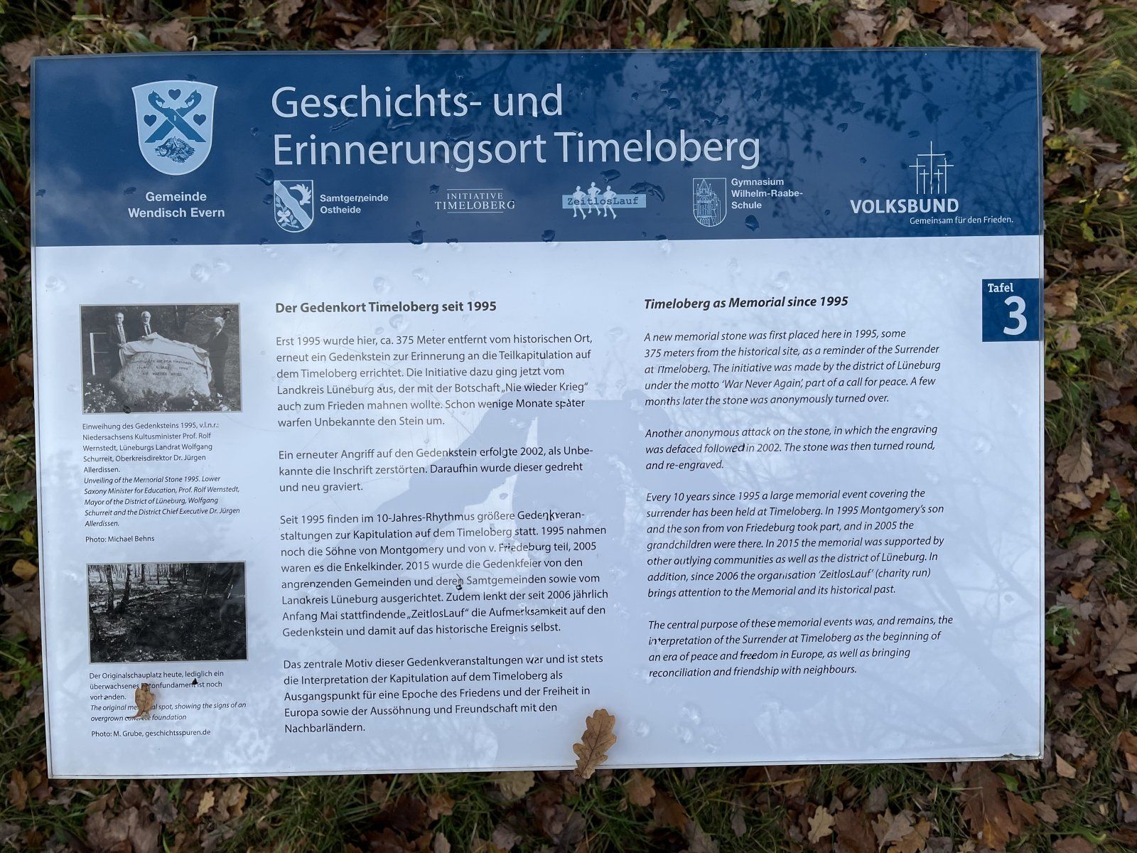 IMG_4990.jpeg
