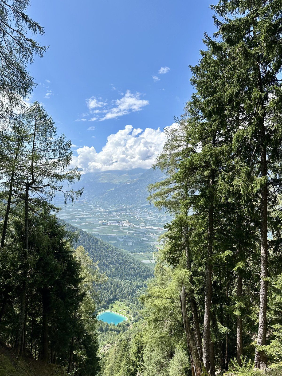 IMG_5018.jpeg