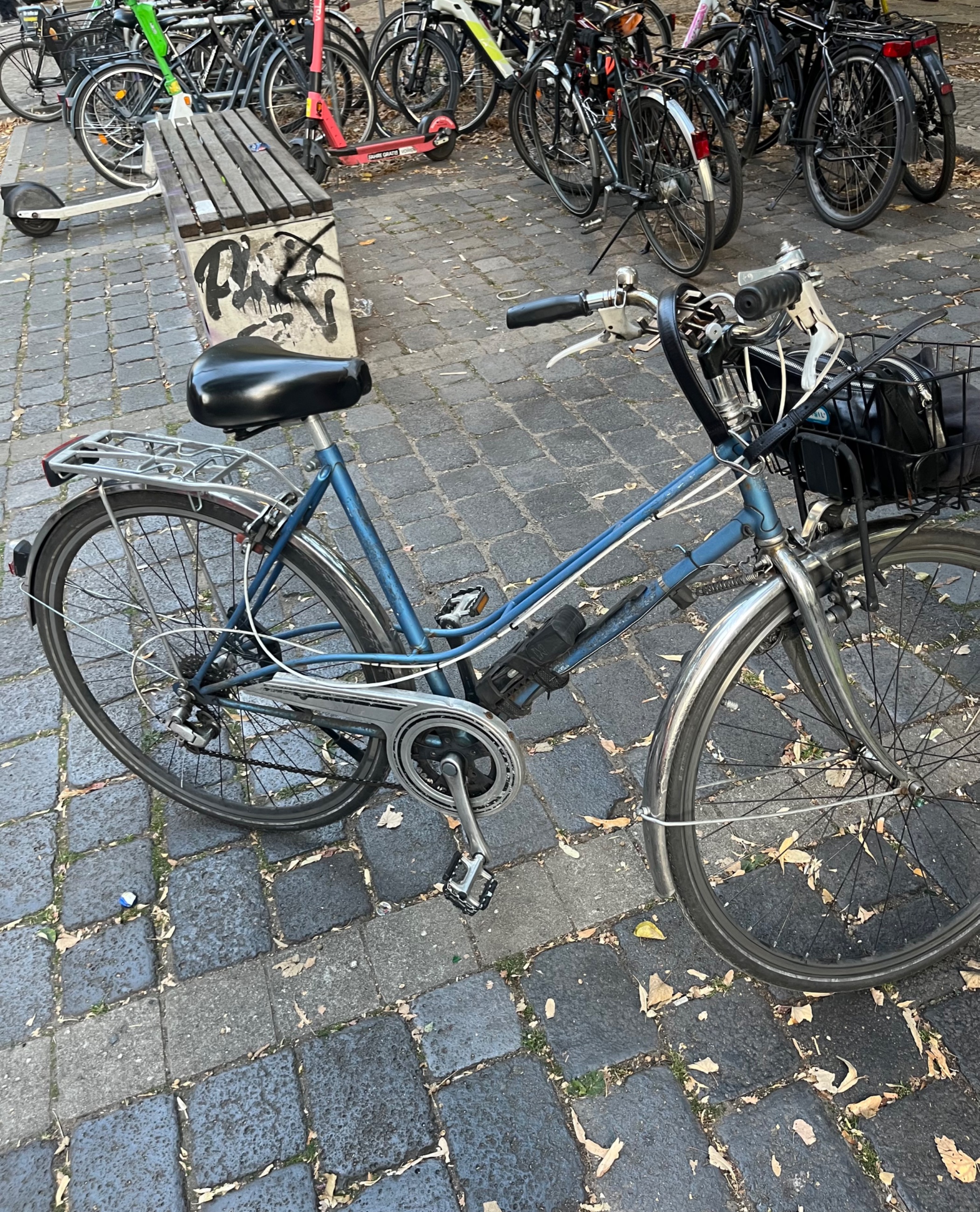 IMG_5047.jpeg