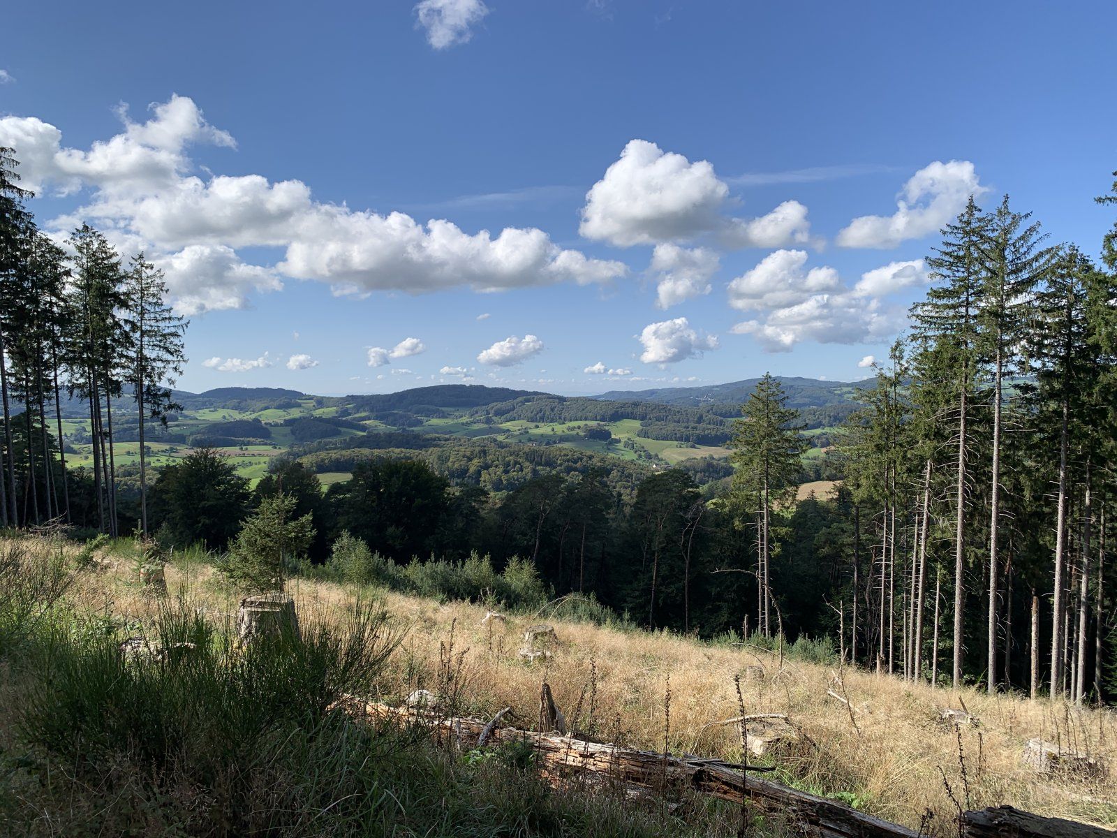 IMG_5070.jpeg