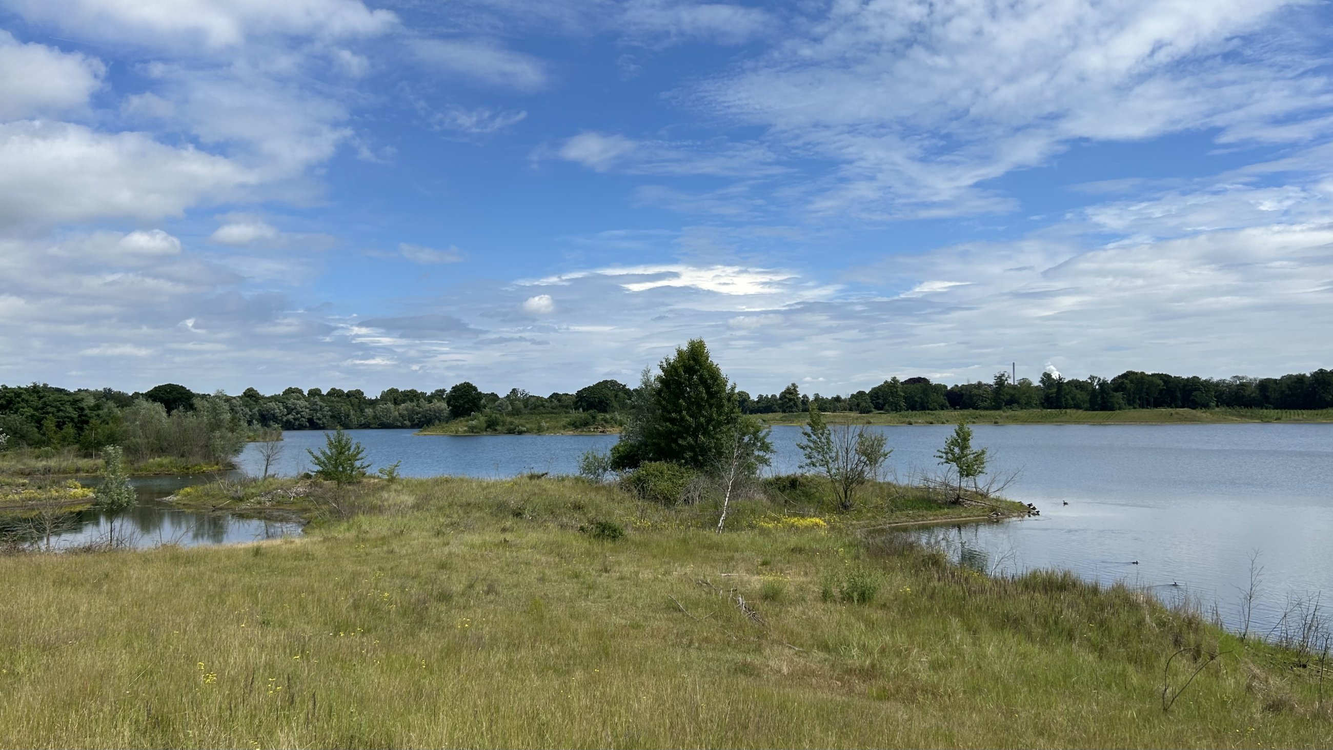 IMG_5076.jpeg