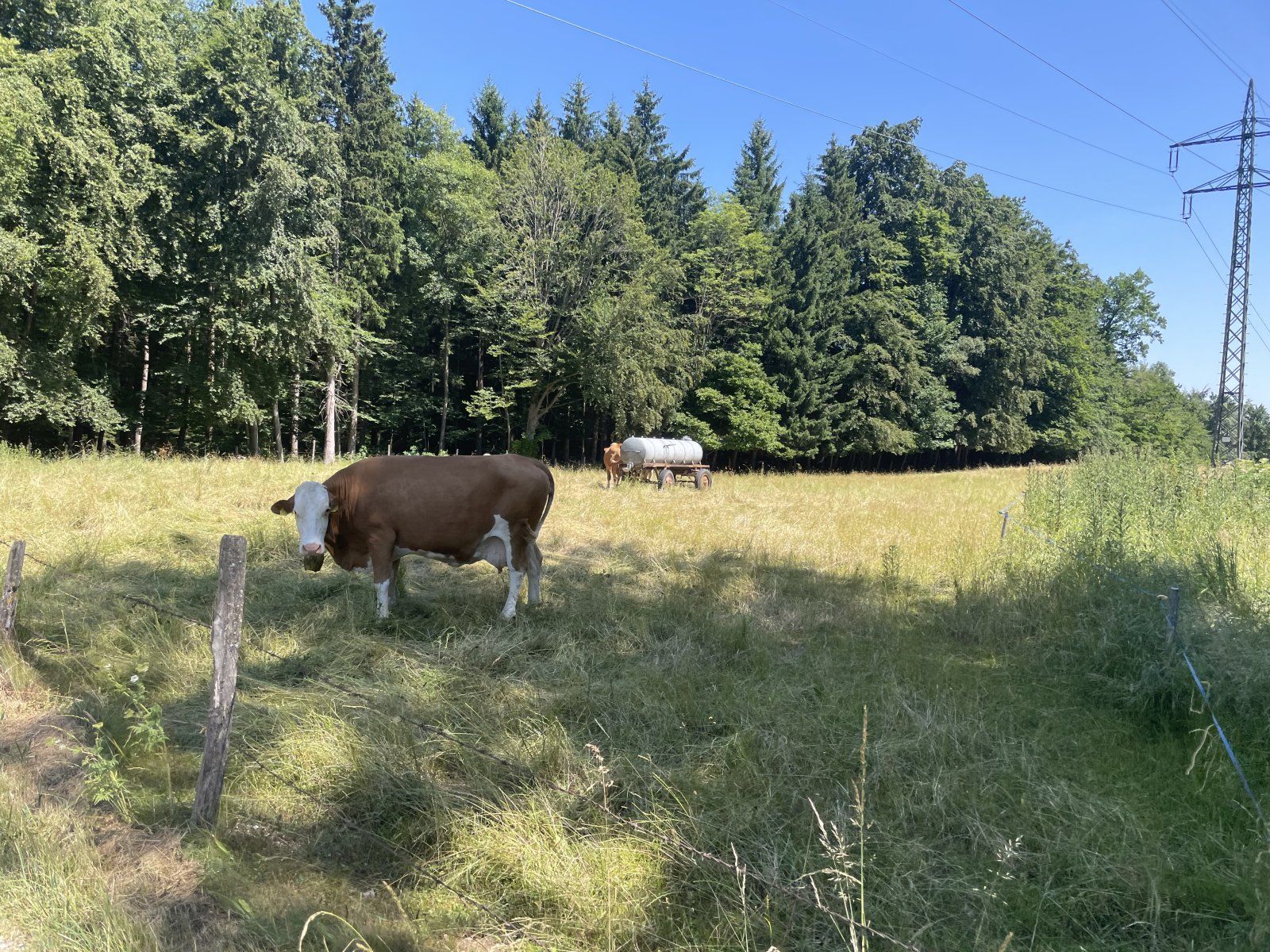 IMG_5082.jpeg