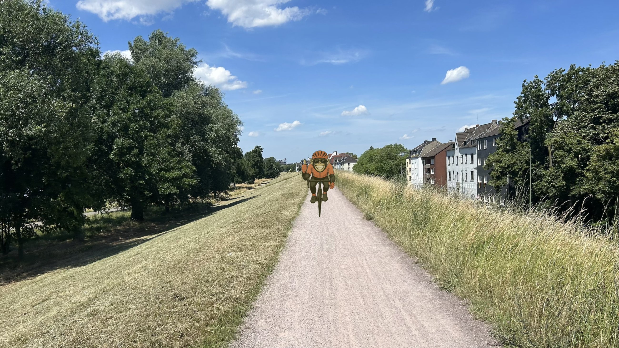 IMG_5085.jpeg