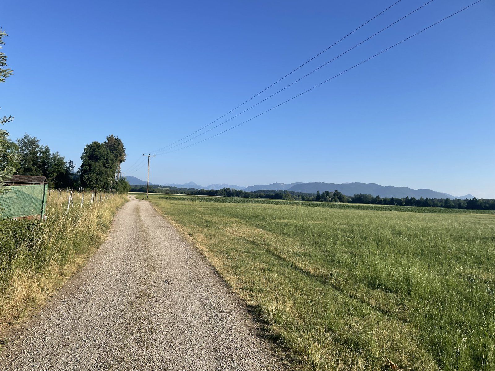 IMG_5086.jpeg