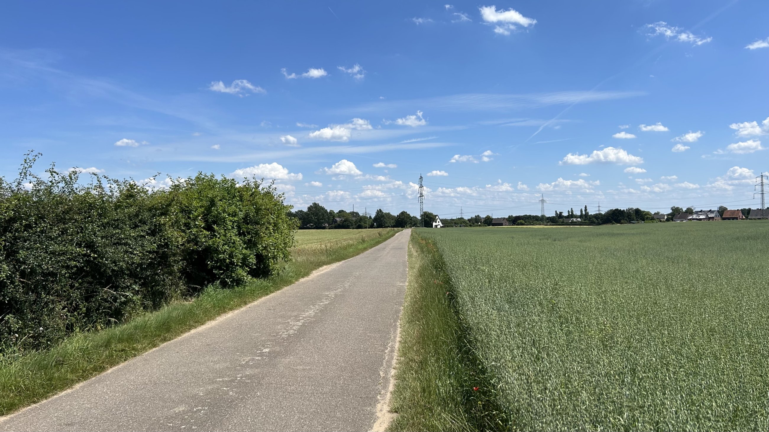 IMG_5086.jpeg
