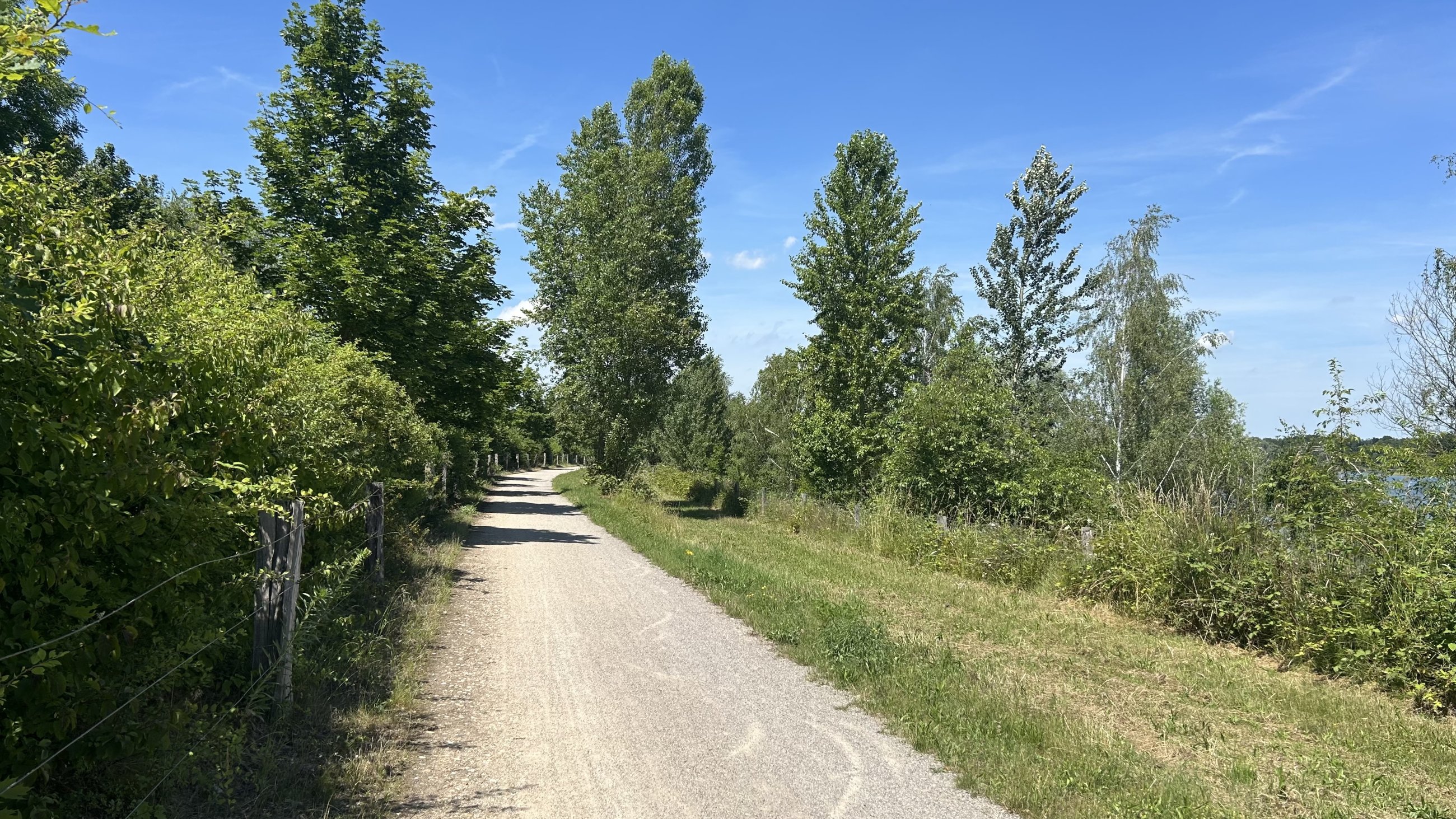 IMG_5087.jpeg