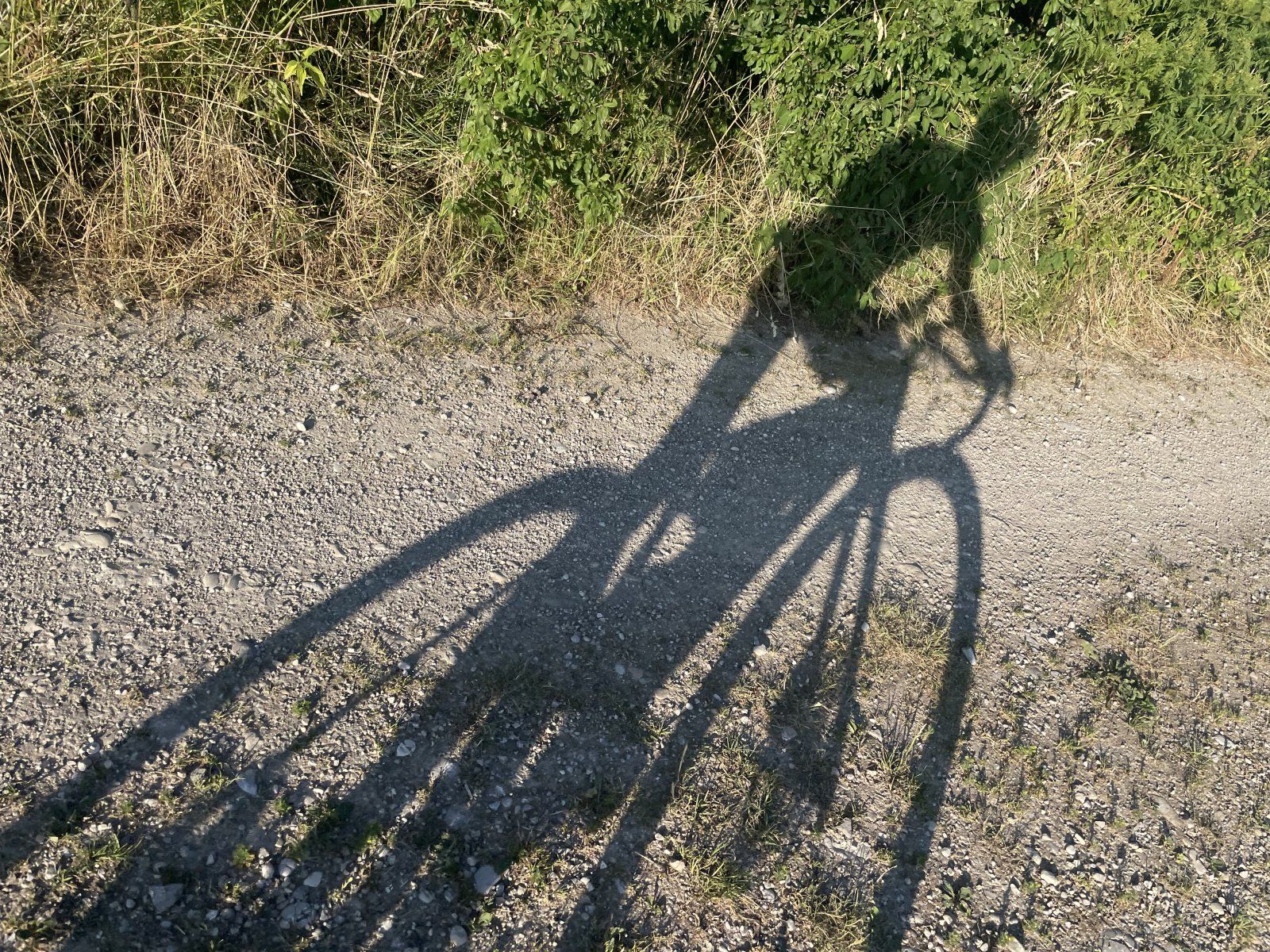 IMG_5088.jpeg