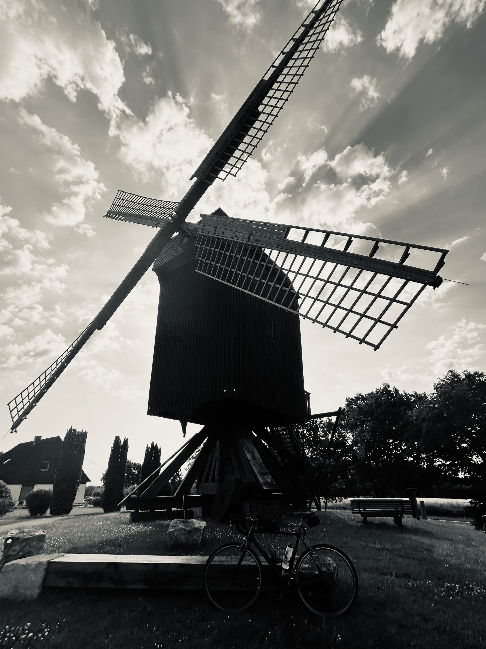 IMG_5090.jpeg