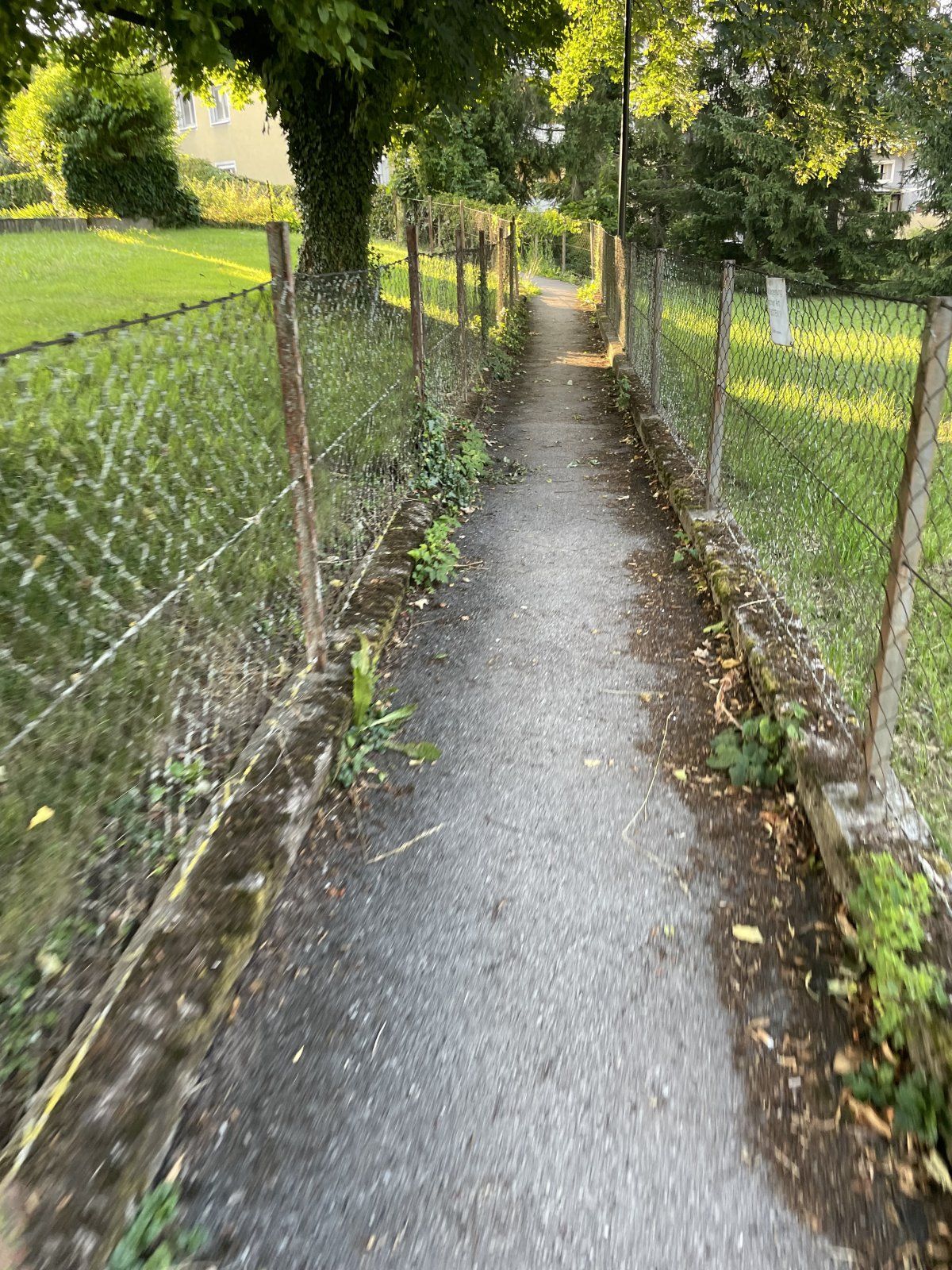 IMG_5131.jpeg