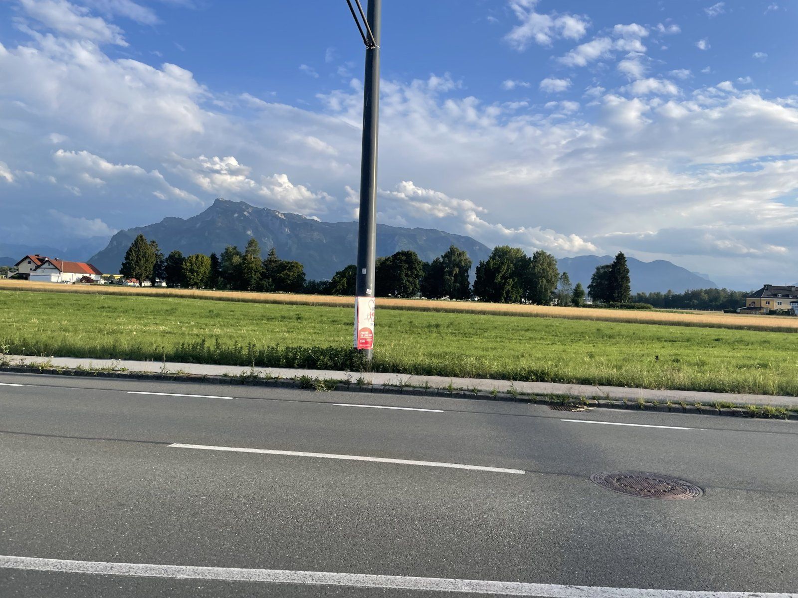 IMG_5133.jpeg
