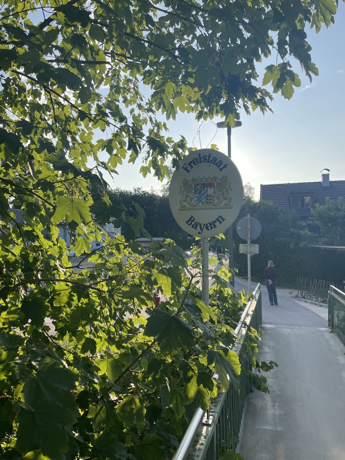 IMG_5135.jpeg