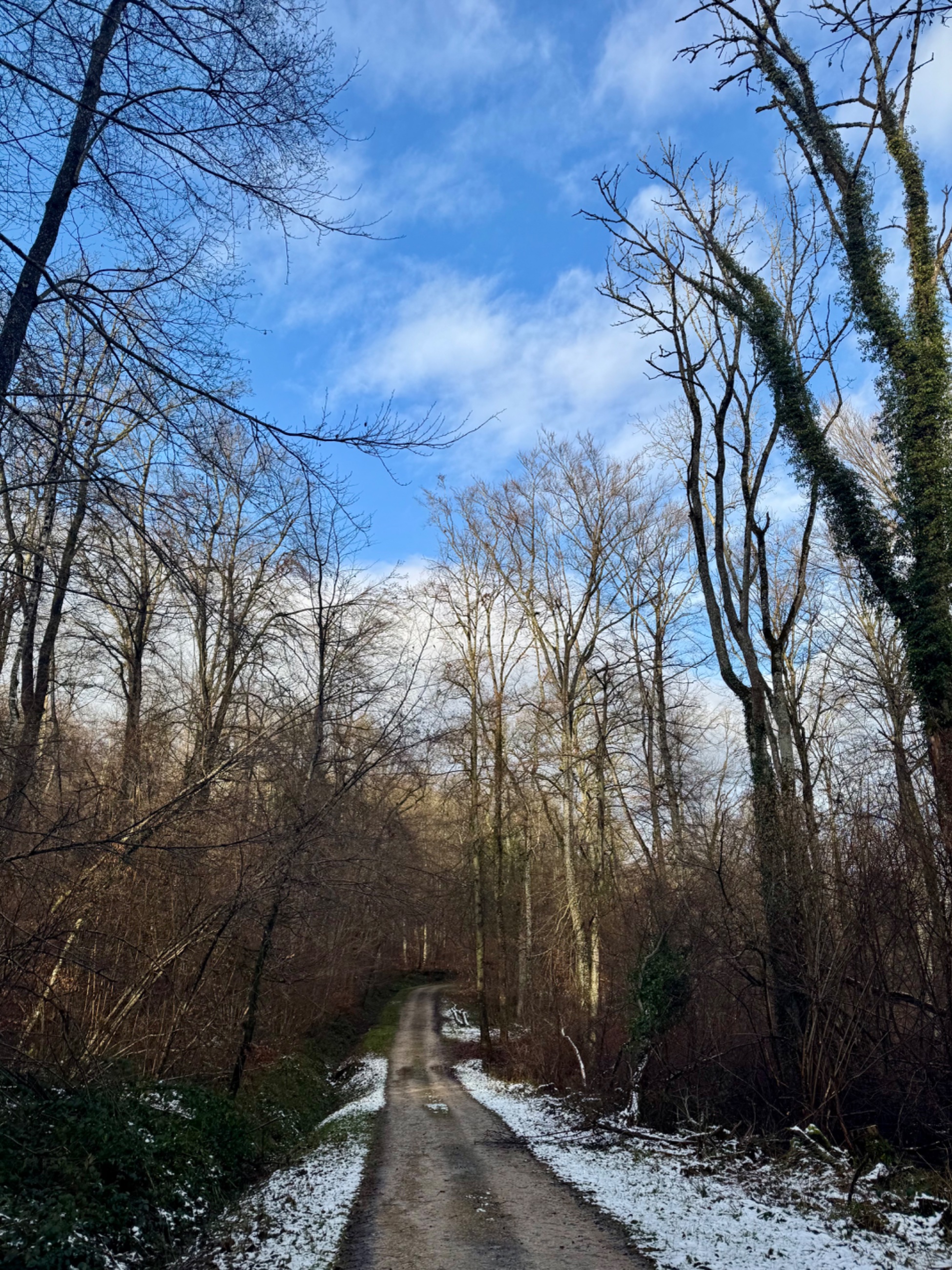 IMG_5163.jpeg