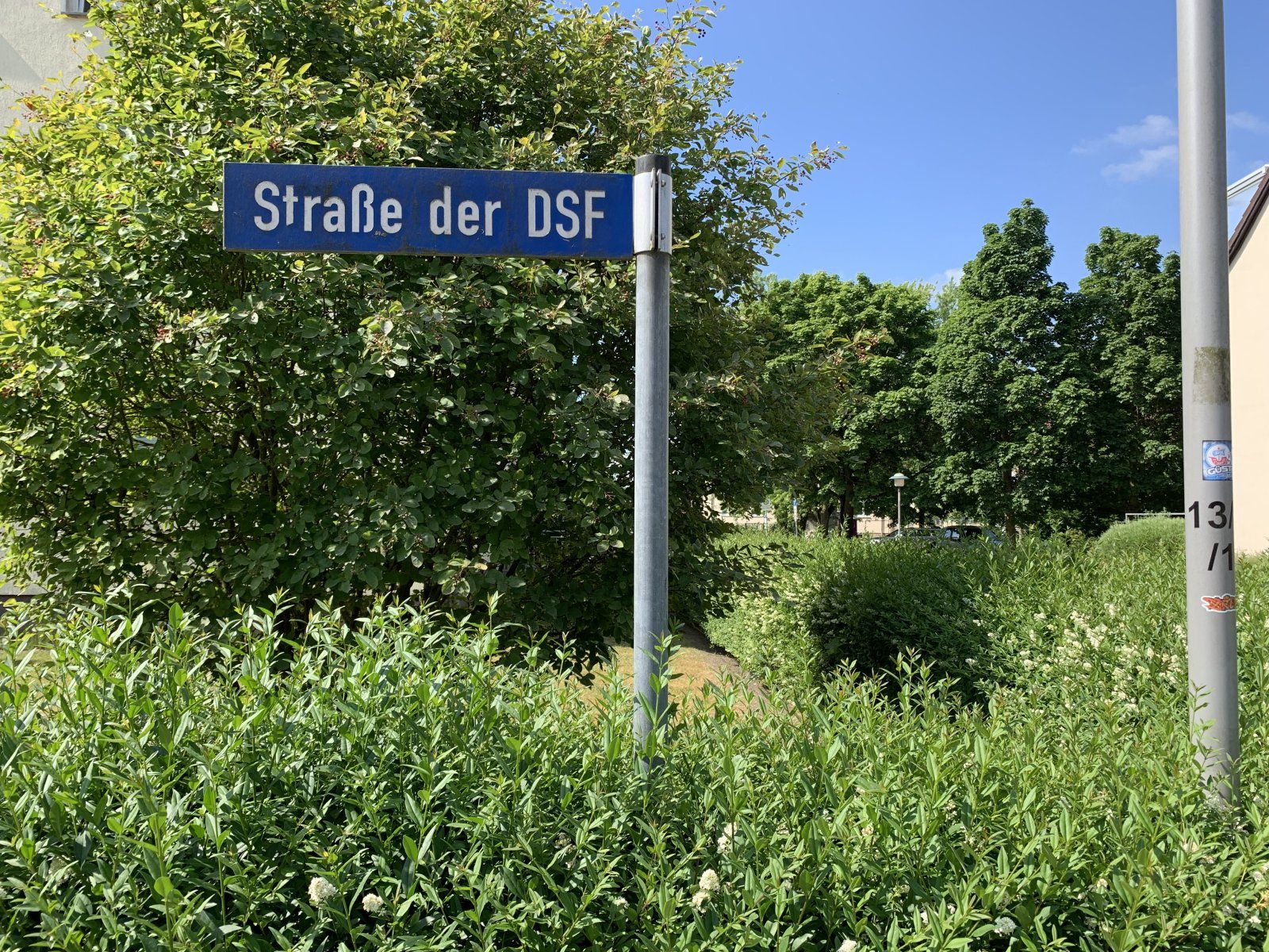 IMG_5225.jpeg