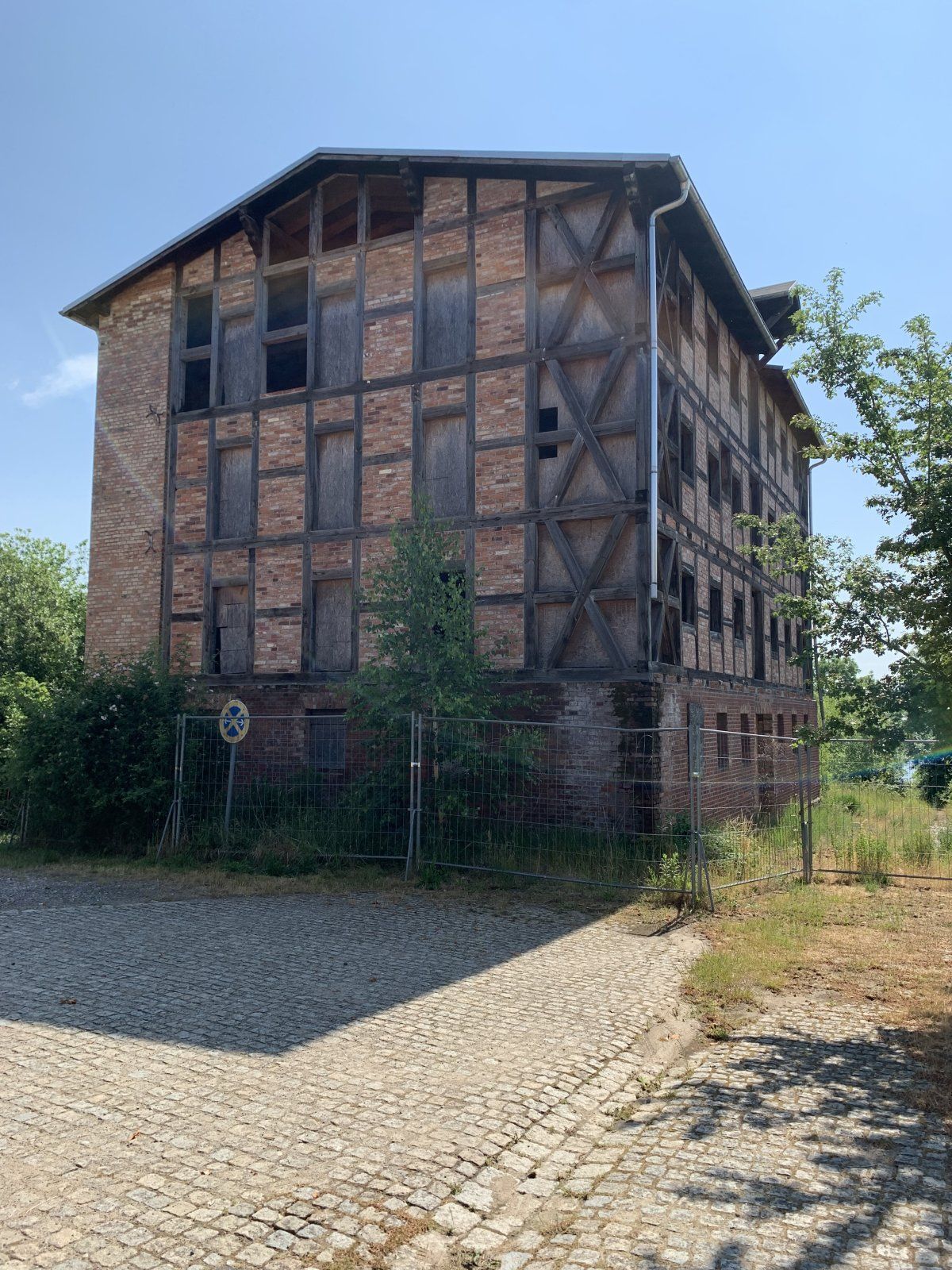 IMG_5234.jpeg