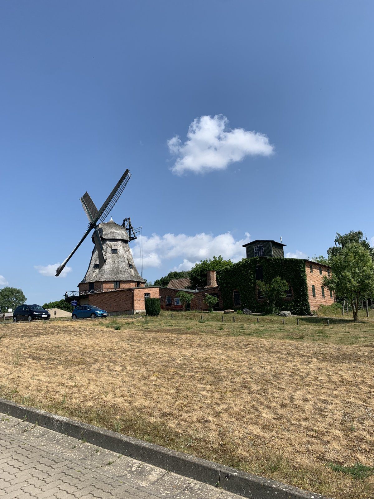 IMG_5236.jpeg