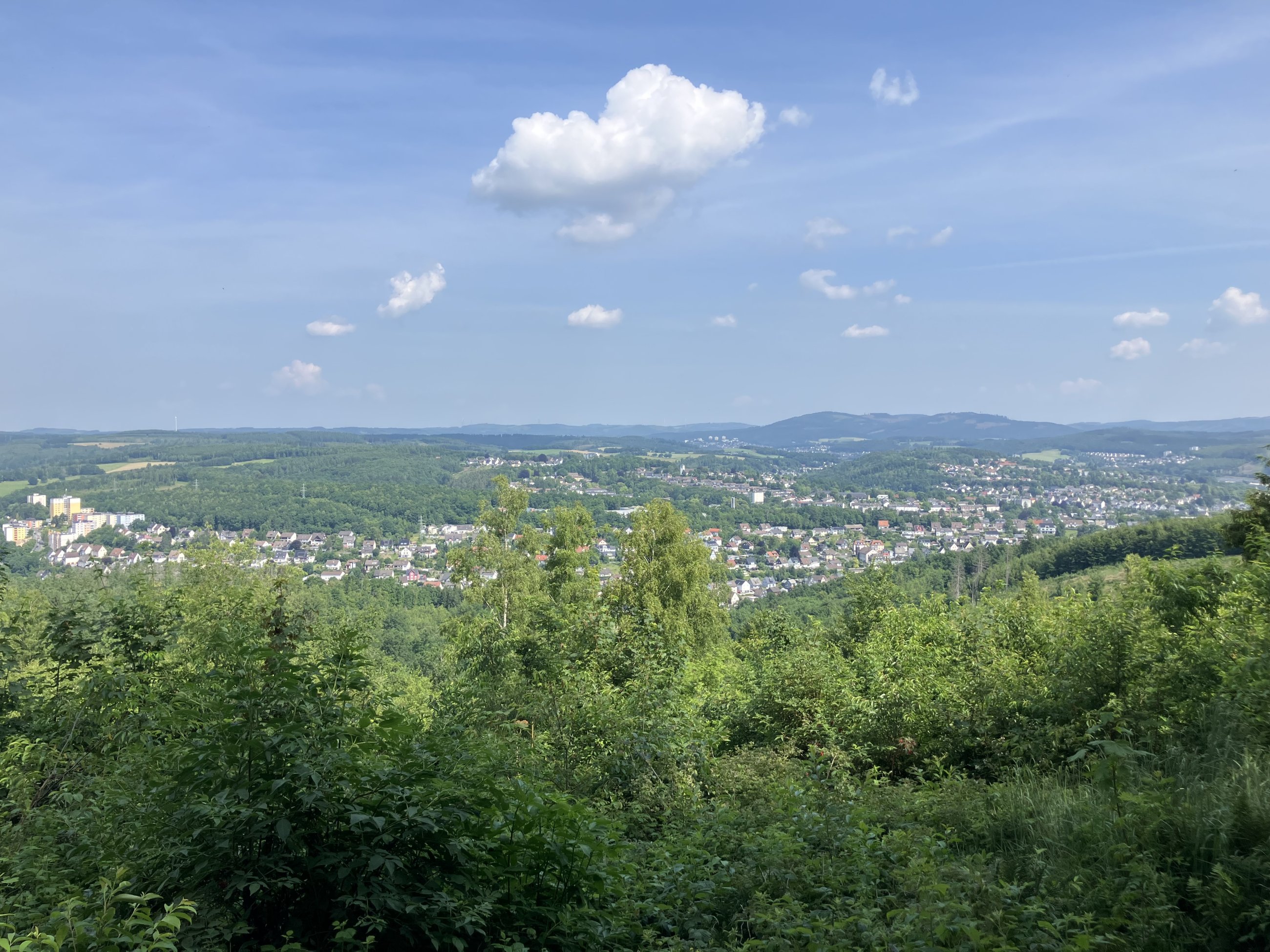 IMG_5297.jpeg