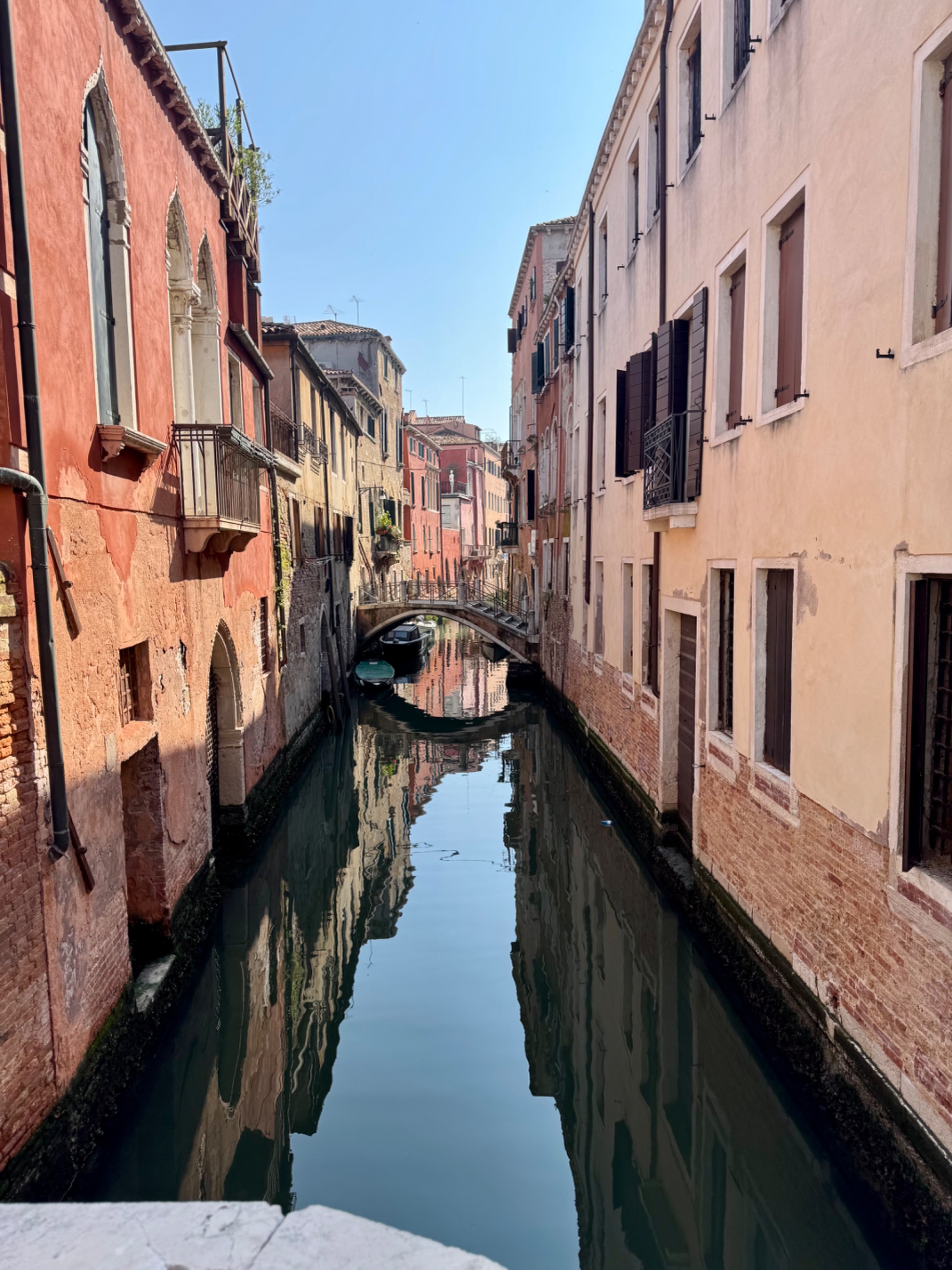 IMG_5313.jpeg