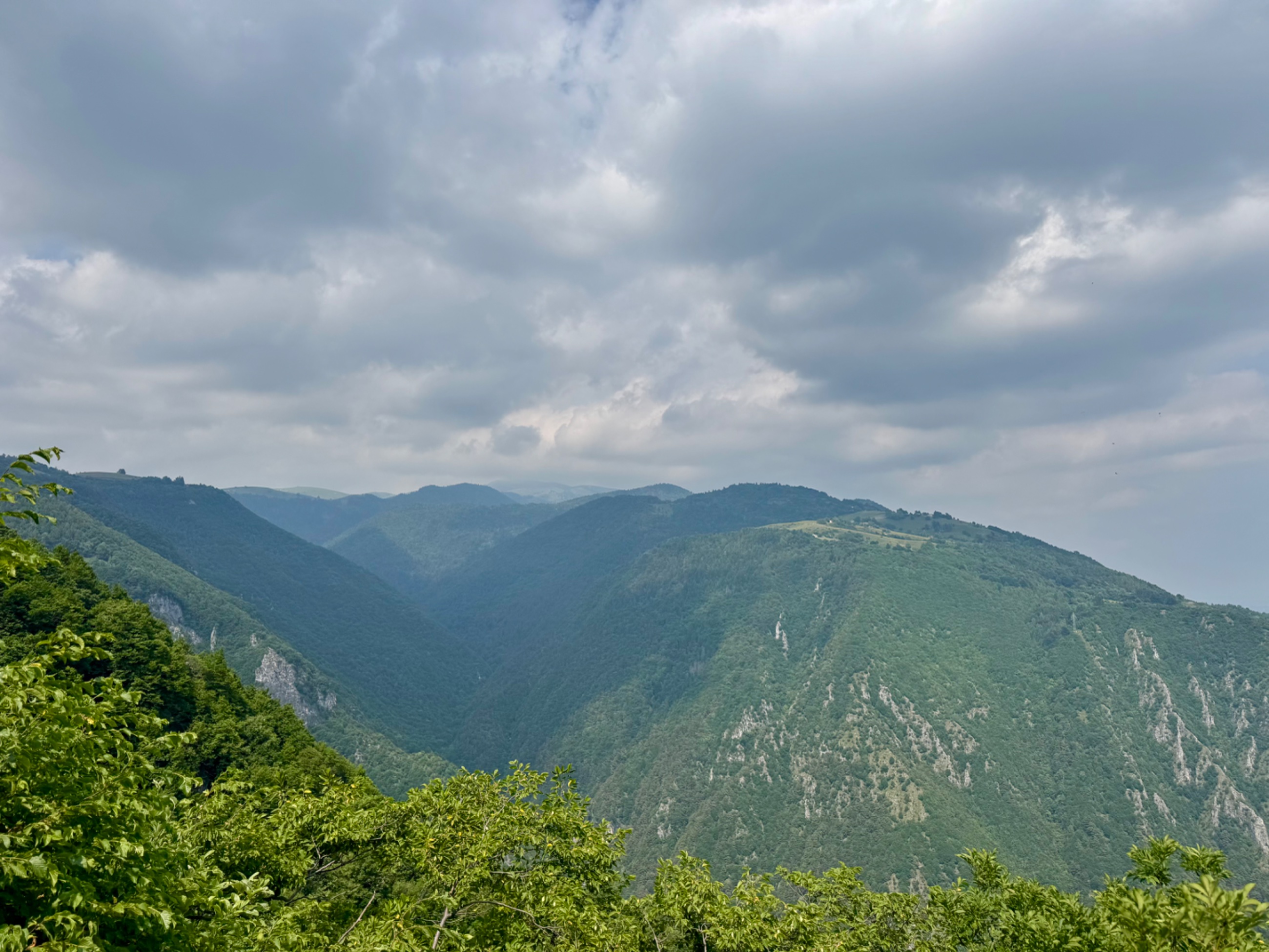 IMG_5389.jpeg