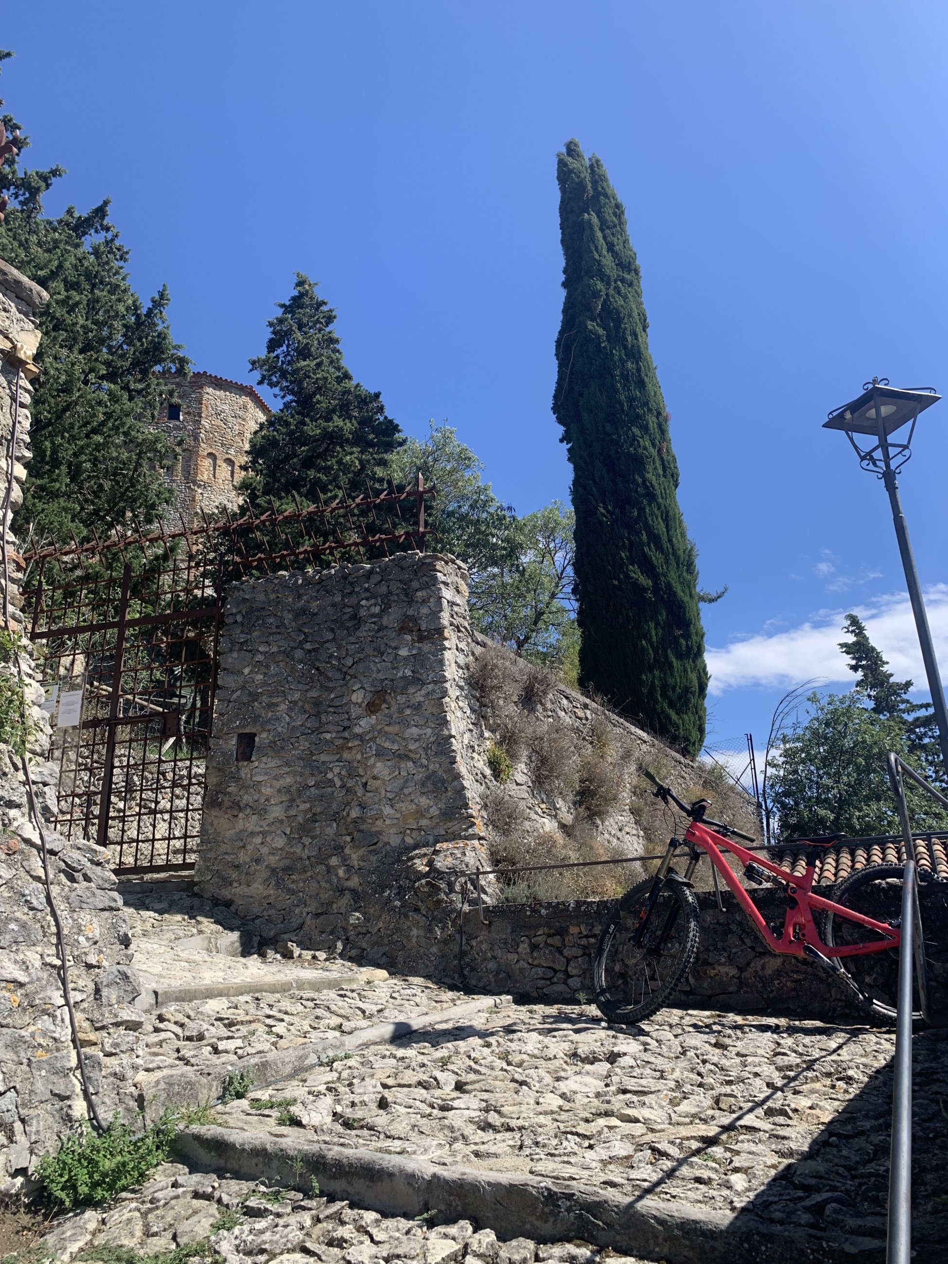 IMG_5401.jpeg