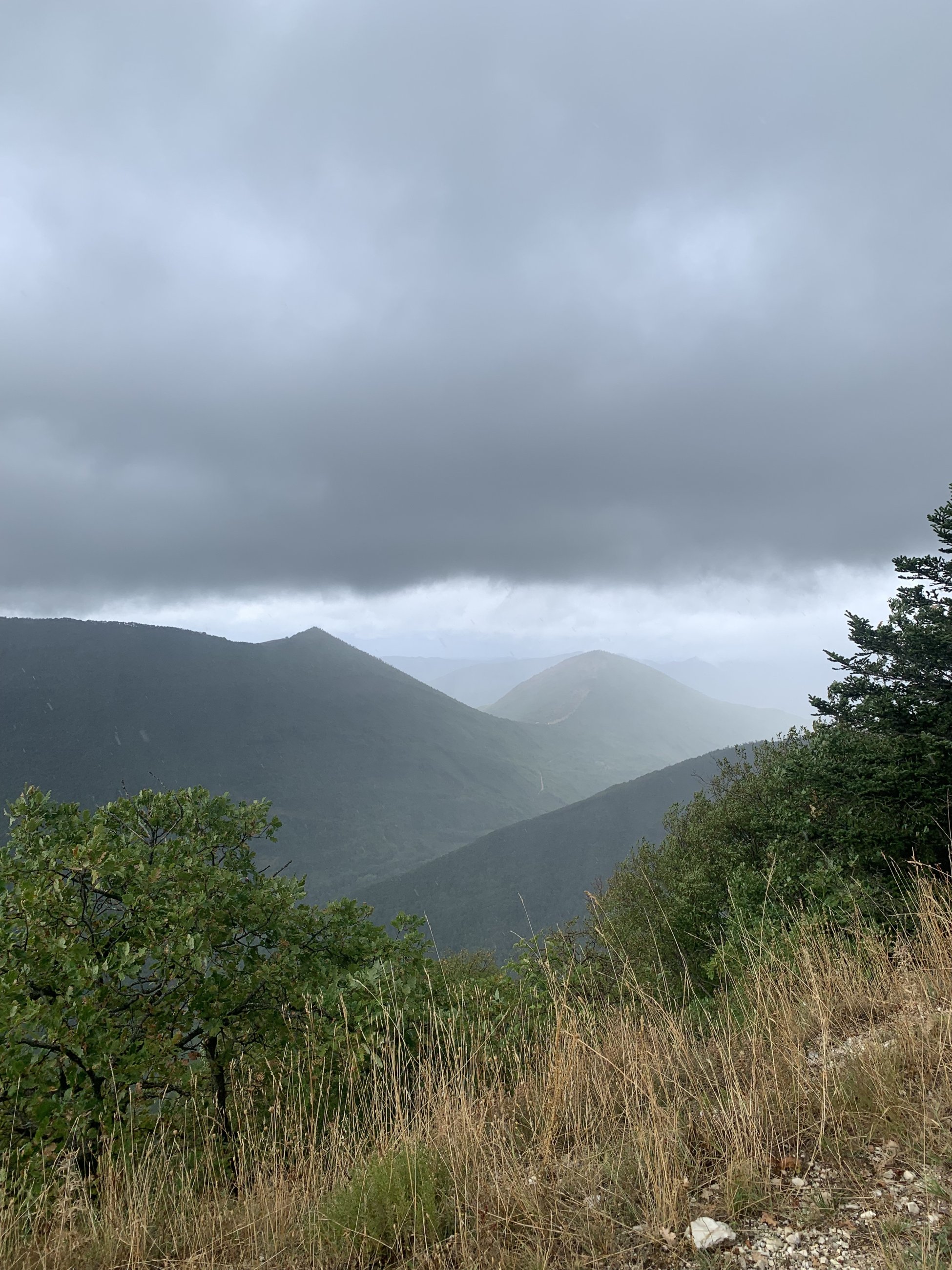 IMG_5436.jpeg