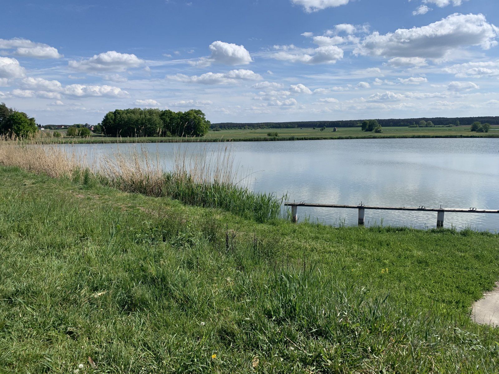 IMG_5471.jpeg