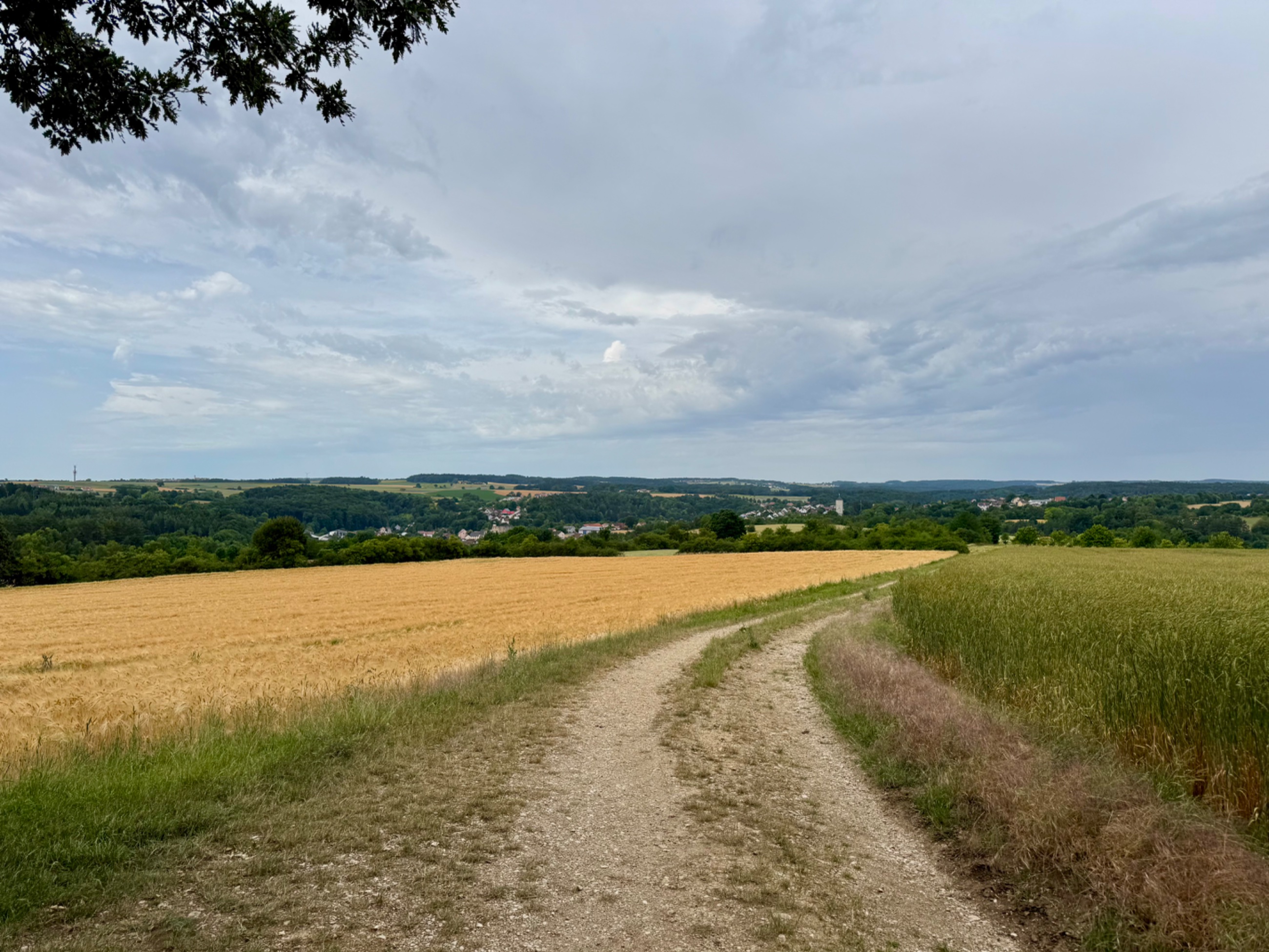 IMG_5492.jpeg