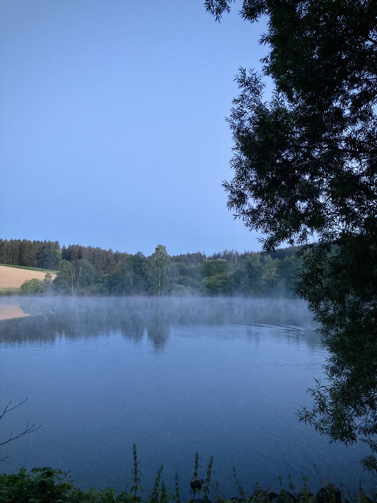 IMG_5562.JPEG