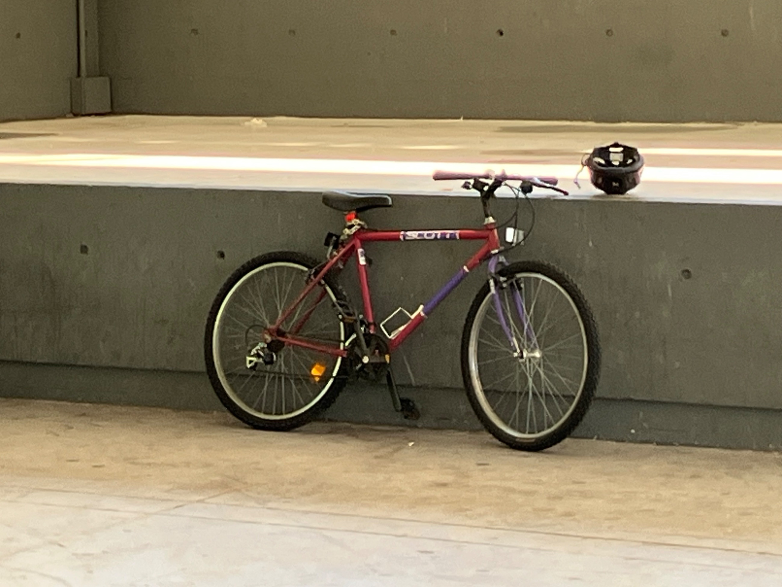 IMG_5603.jpeg