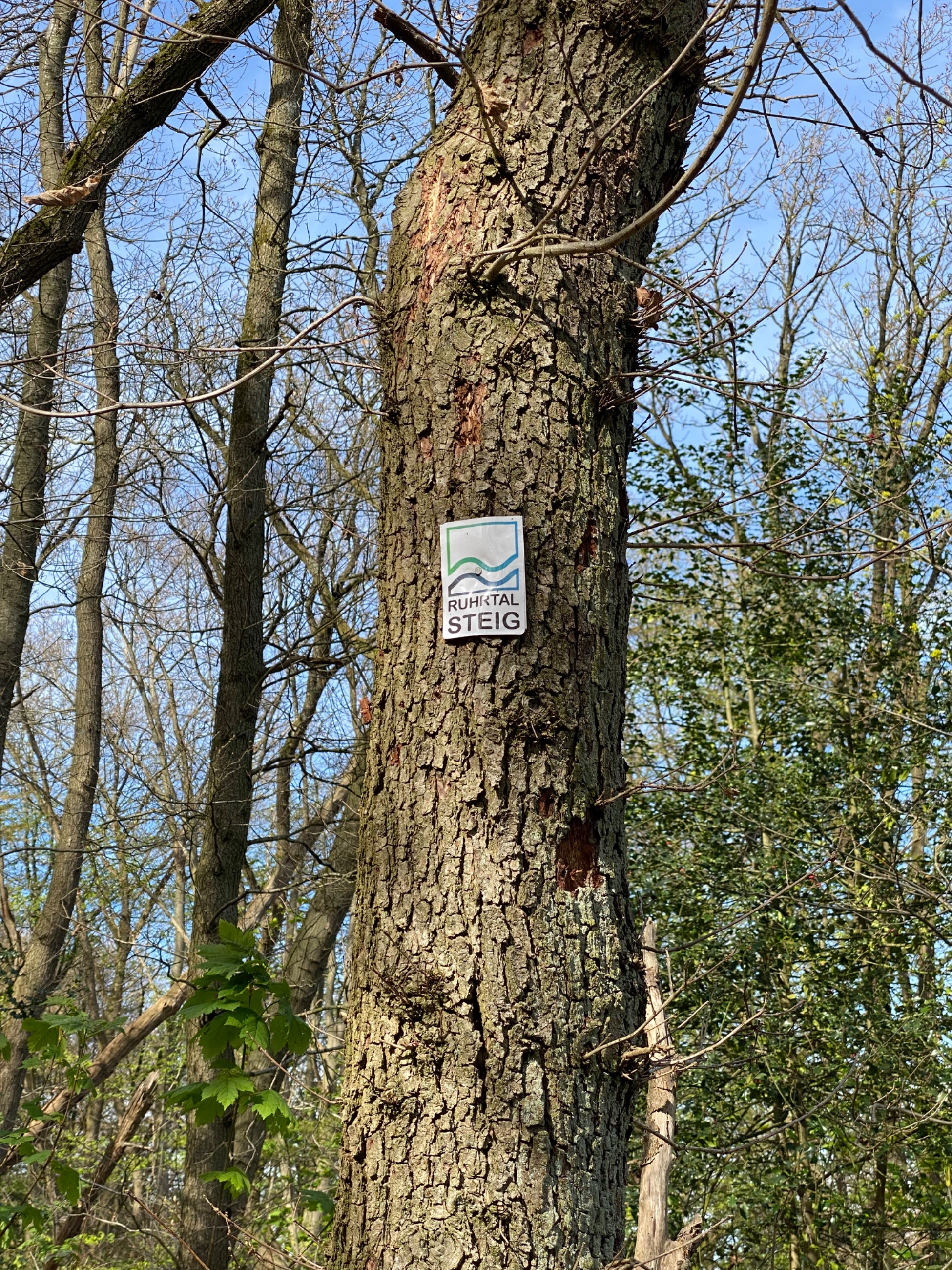 IMG_5607.jpeg