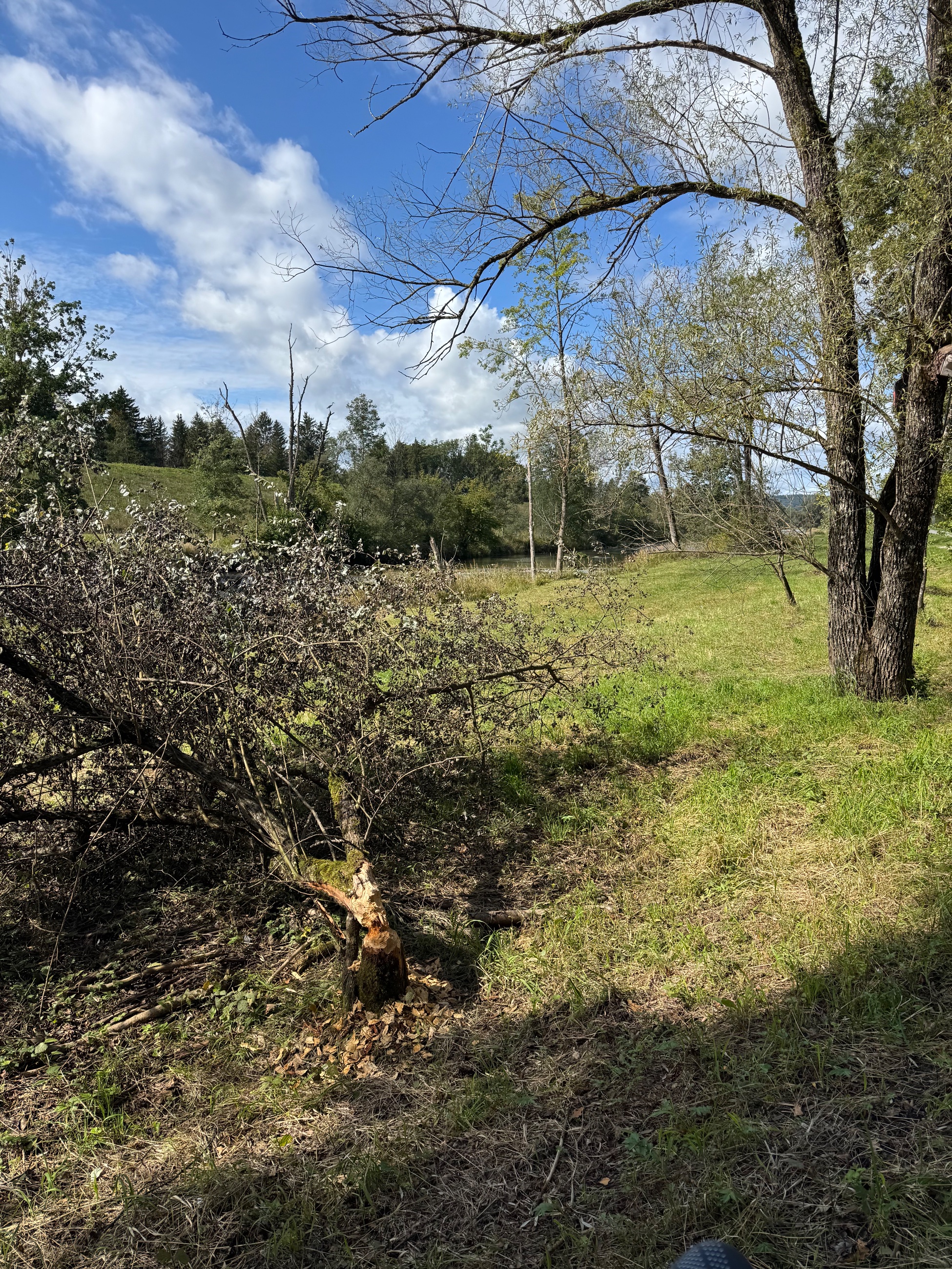 IMG_5648.jpeg