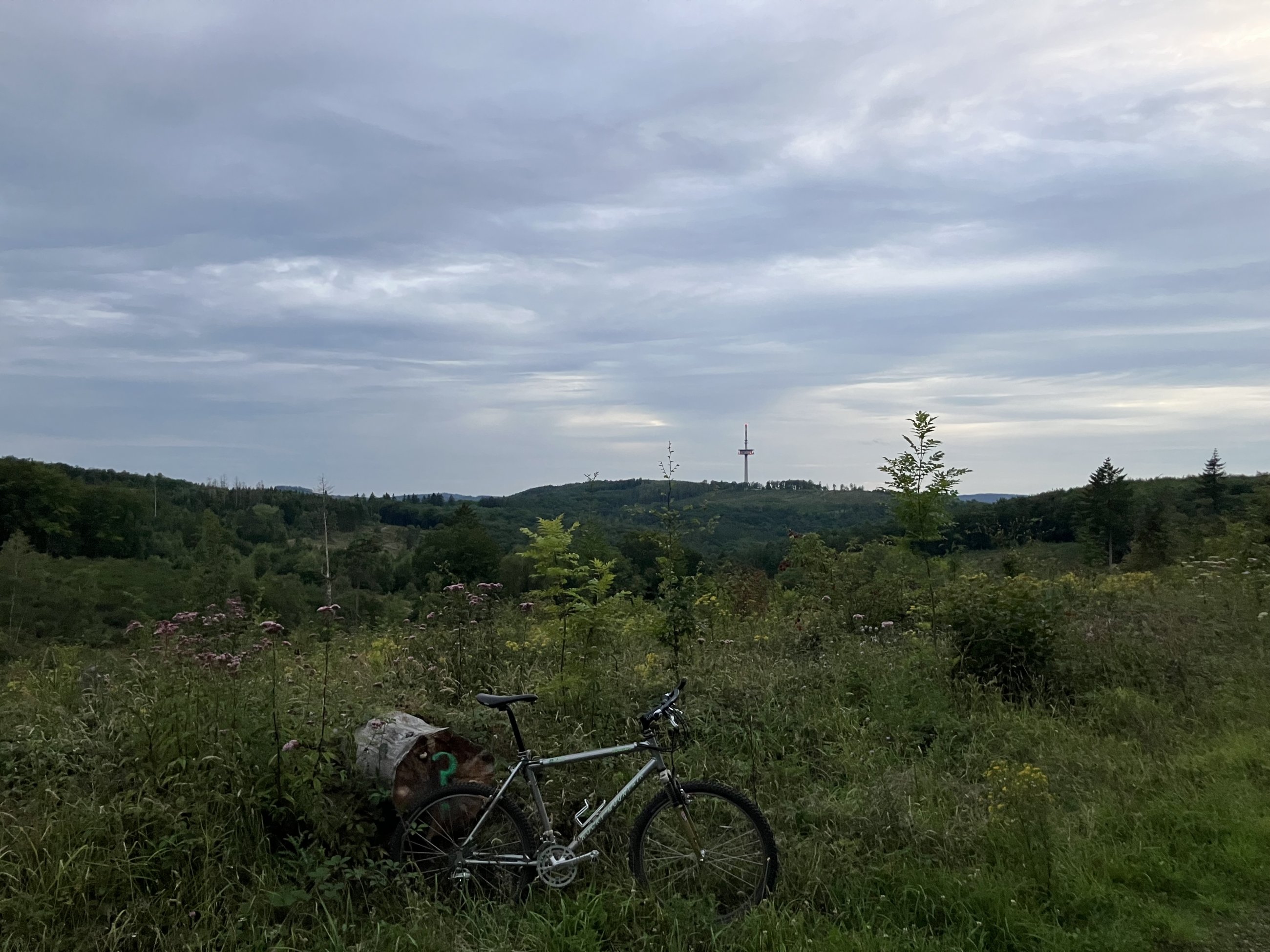 IMG_5784.jpeg