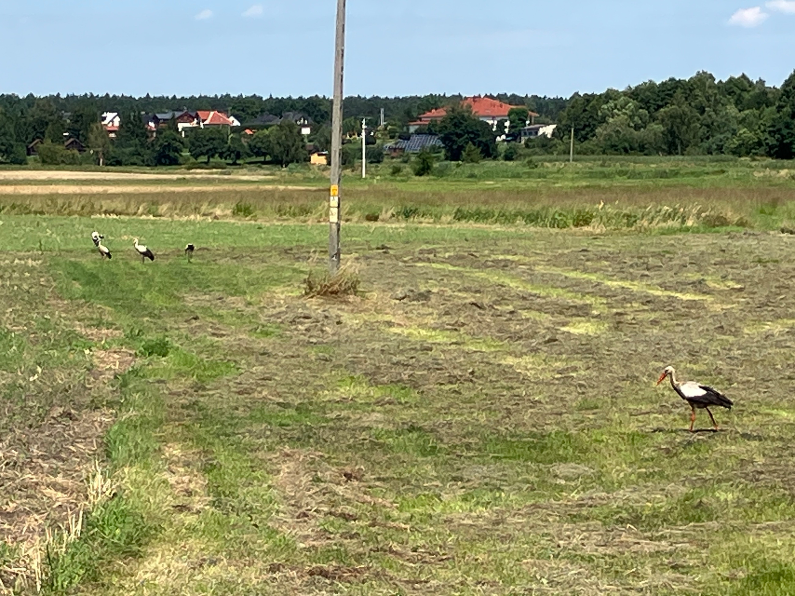 IMG_5828.jpeg