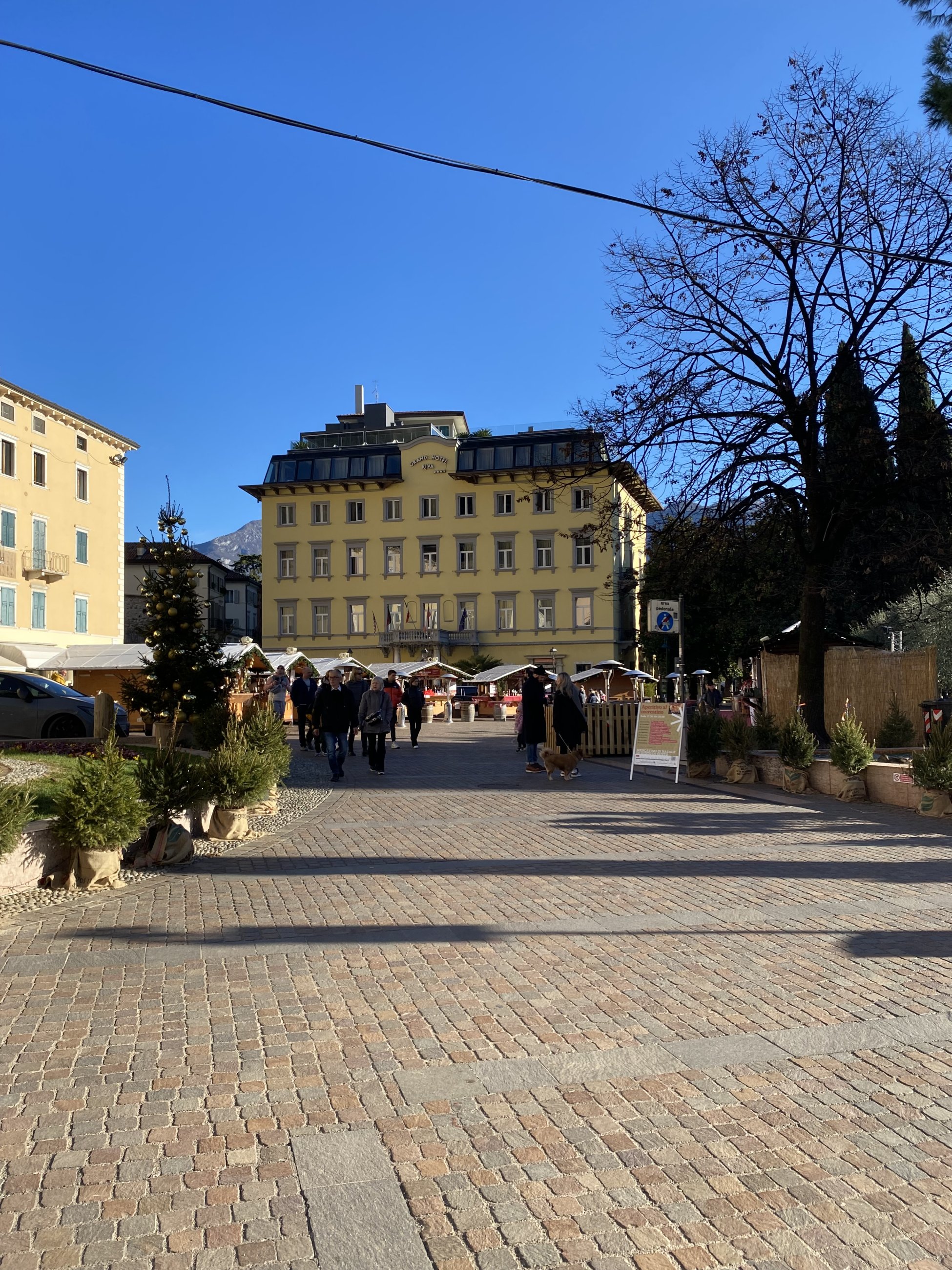 IMG_5846.jpeg