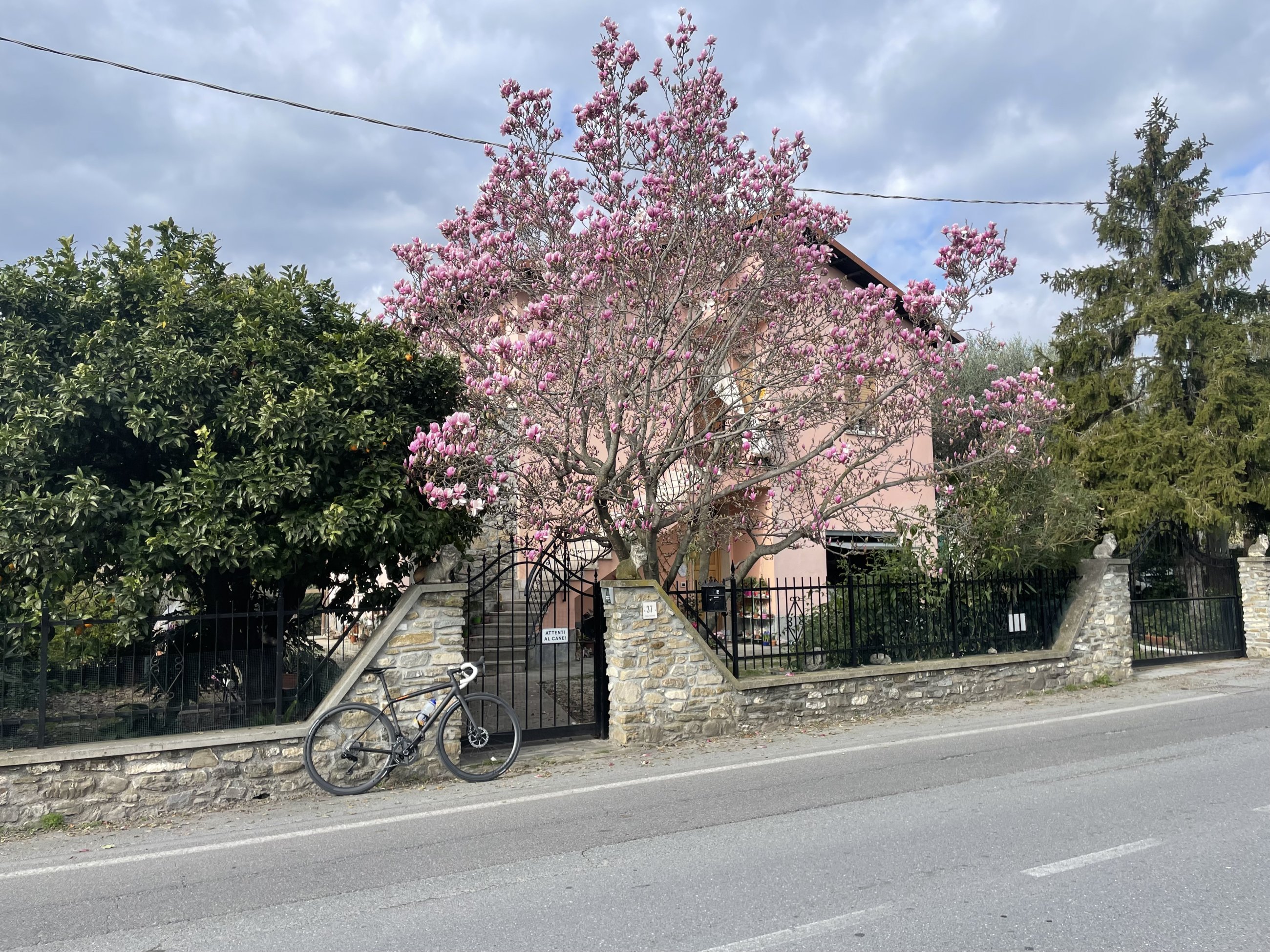 IMG_5929.jpeg