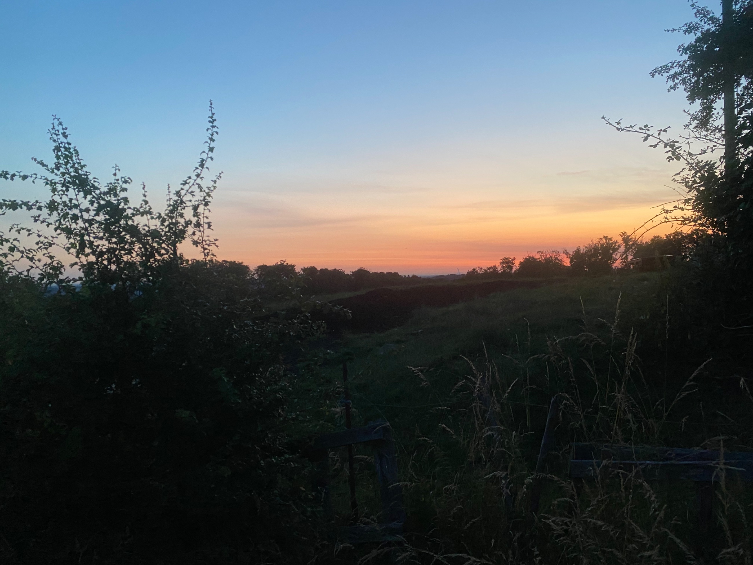 IMG_5939.jpeg