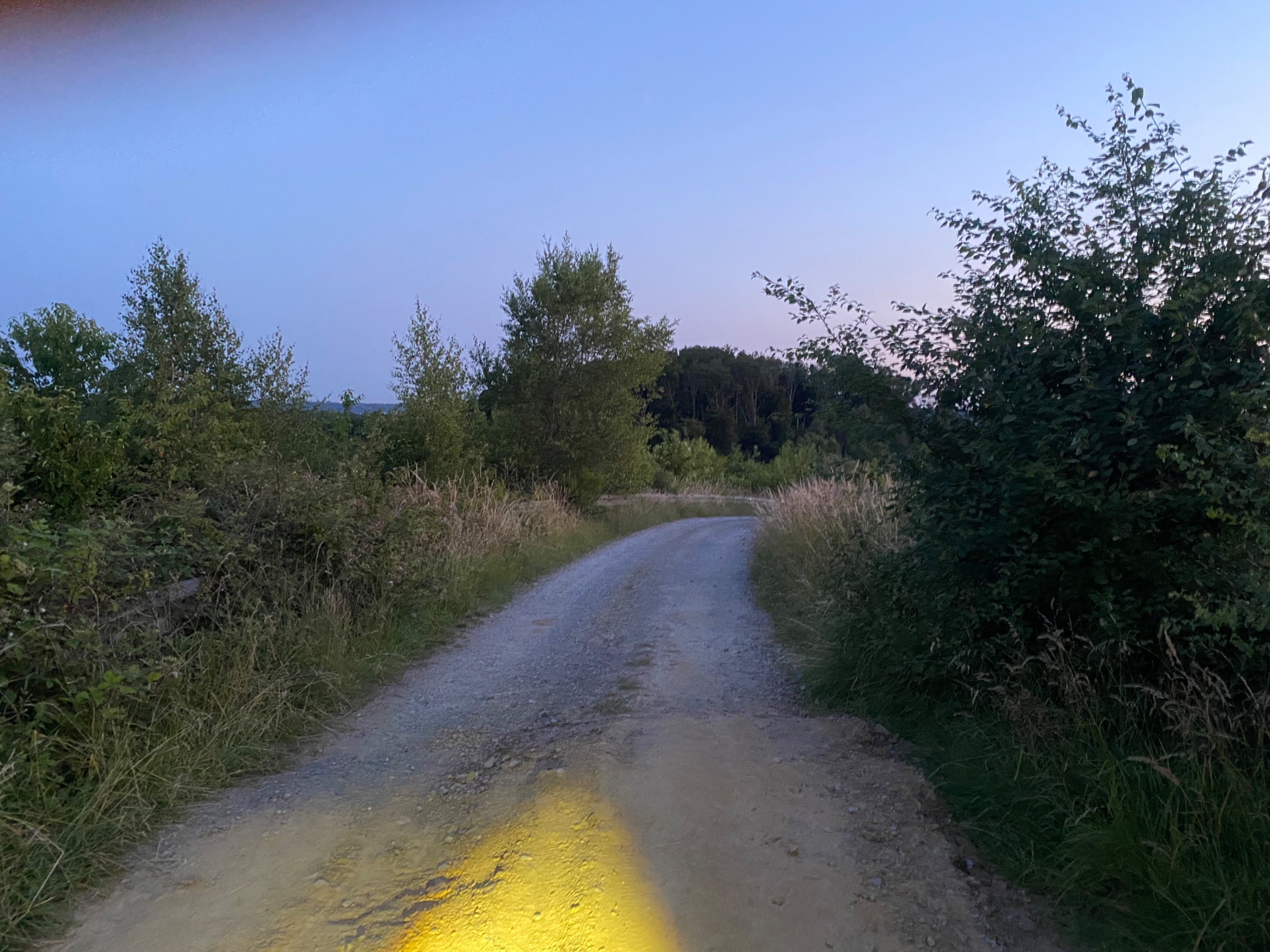 IMG_5940.jpeg
