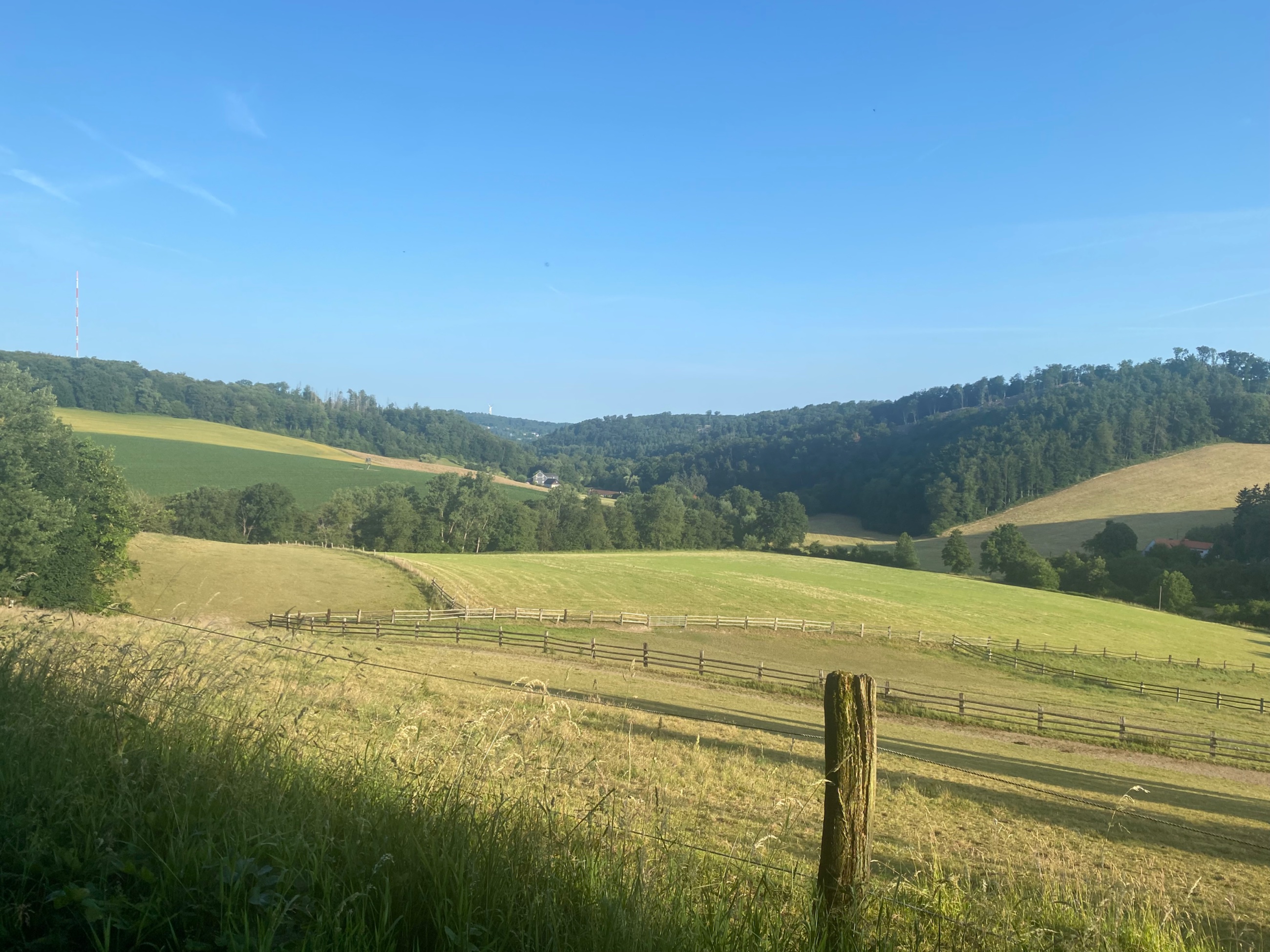 IMG_5943.jpeg